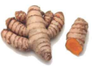 turmeric.jpg
