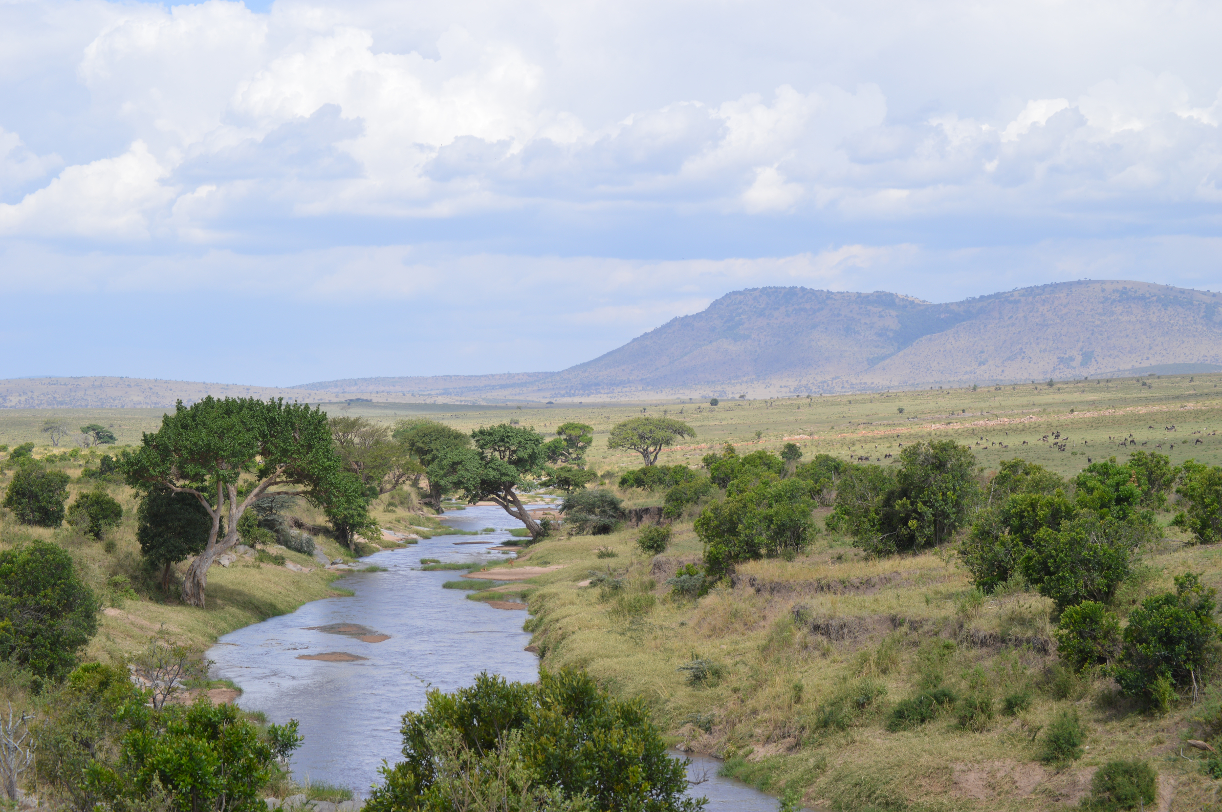 The Sand River, Masai Mara, Kenya