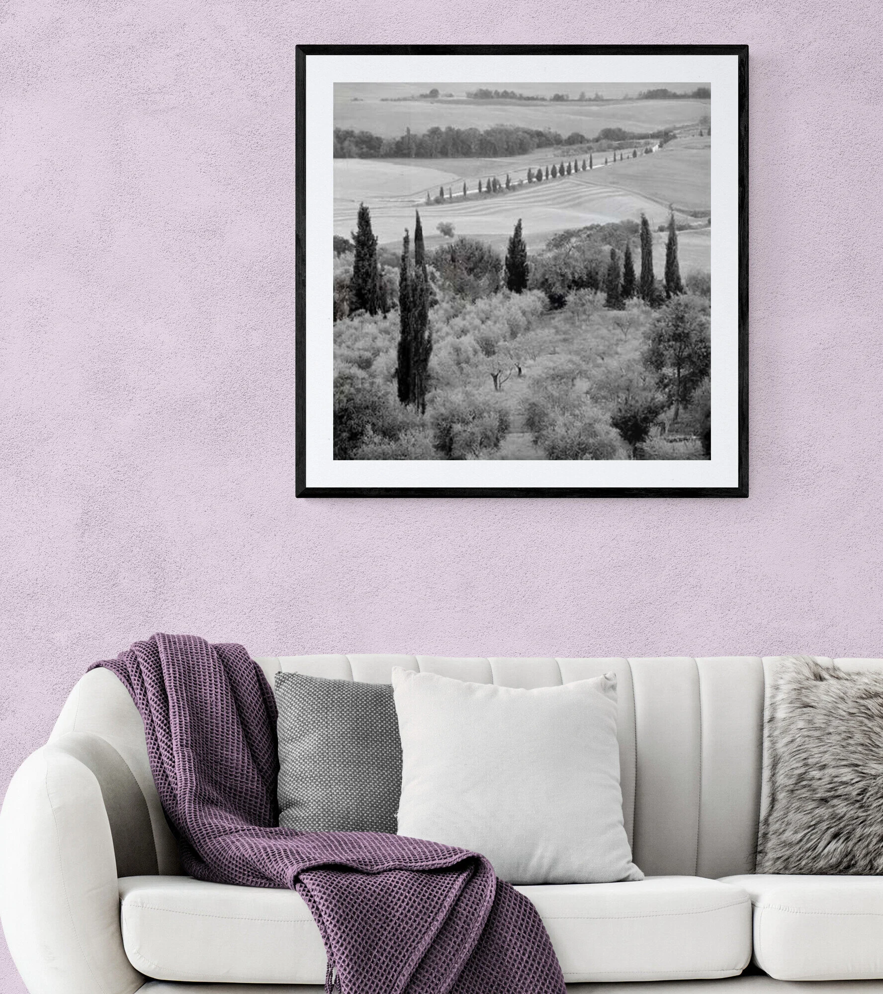 Sofa_and_plant (9).jpg
