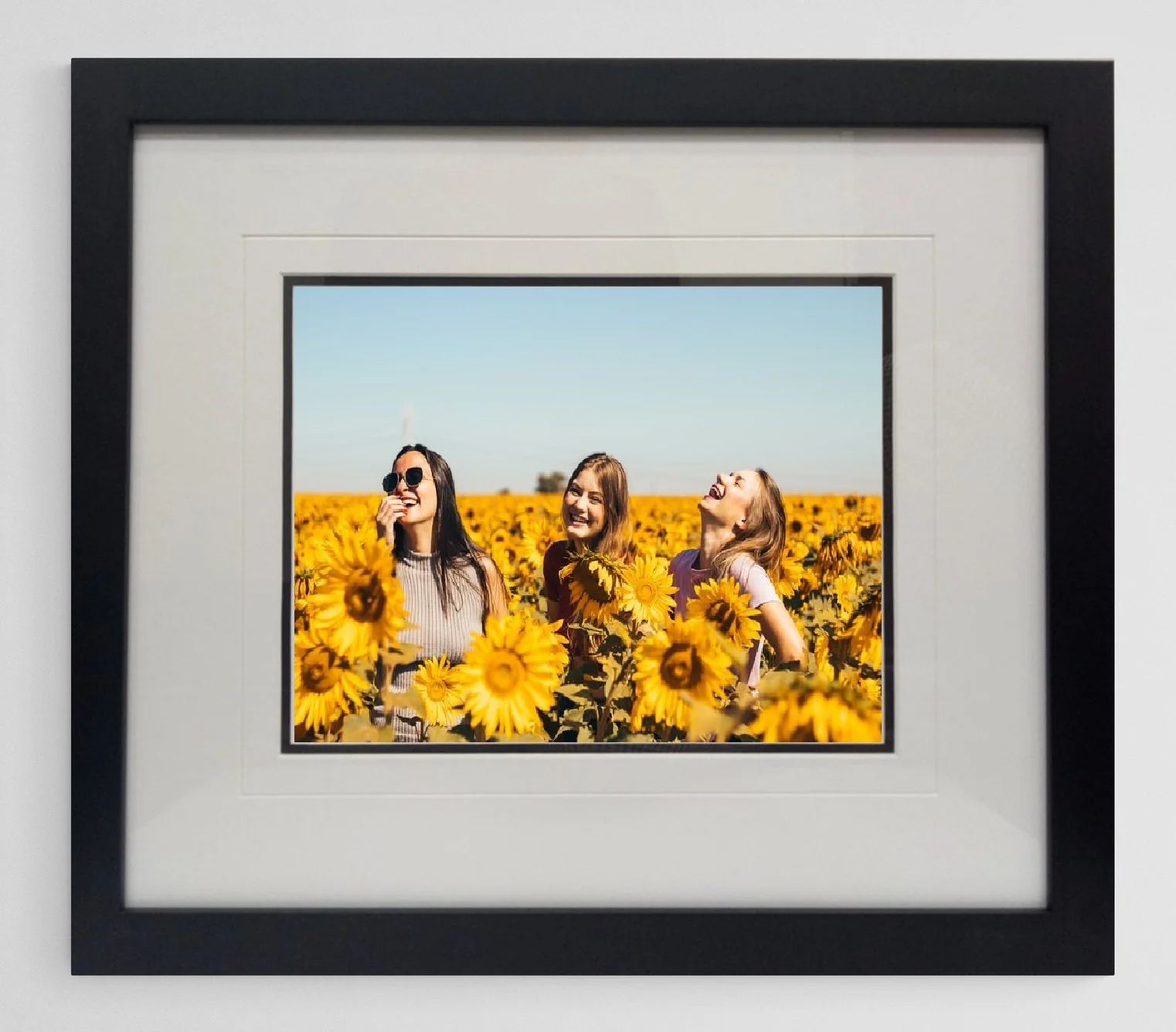 A vibrant, professional color photograph of a sunflower field, showcased in a modern black custom frame with high-quality matting at Art Reflection Mosman.