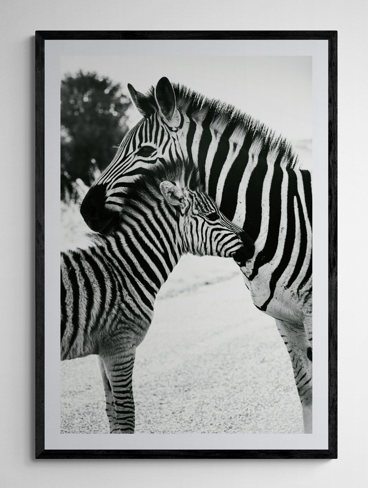 man-standing-next-to-an-empty-wall (10).jpg