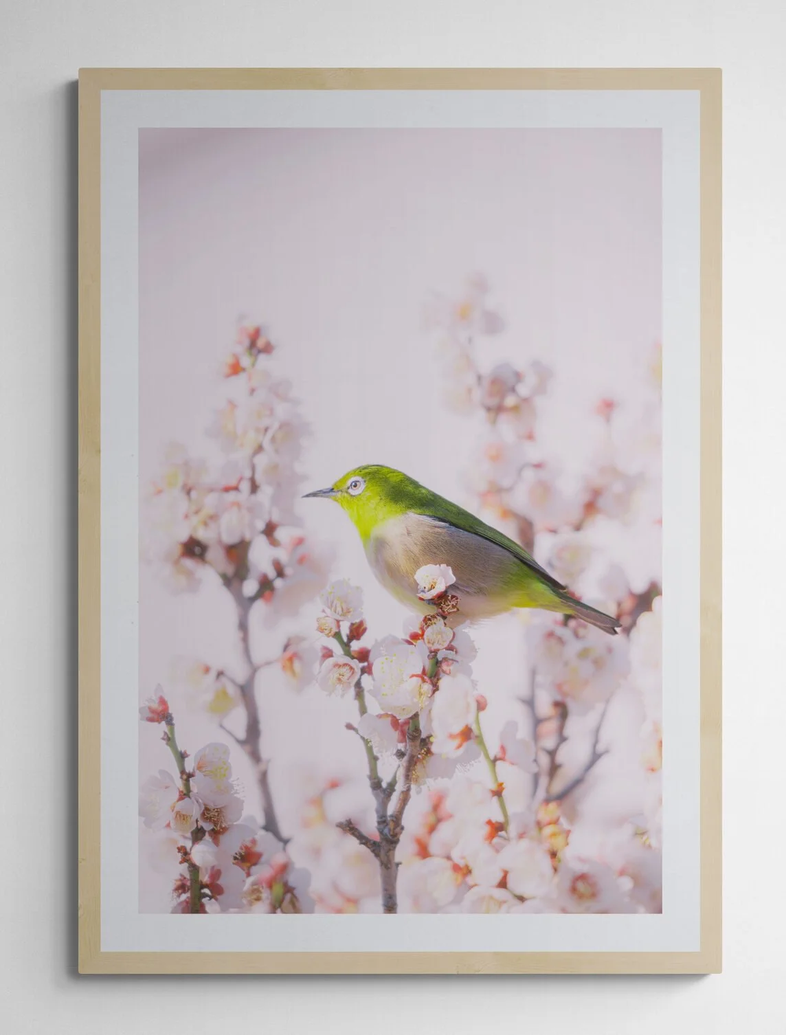 man-standing-next-to-an-empty-wall (1).jpg