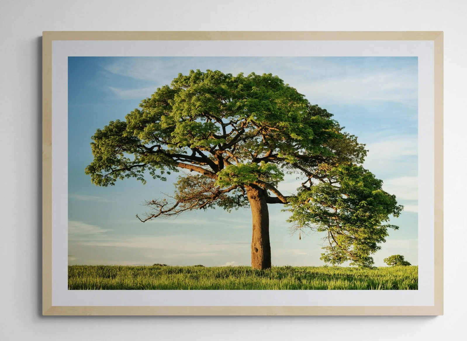 man-standing-next-to-an-empty-wall (17).jpg