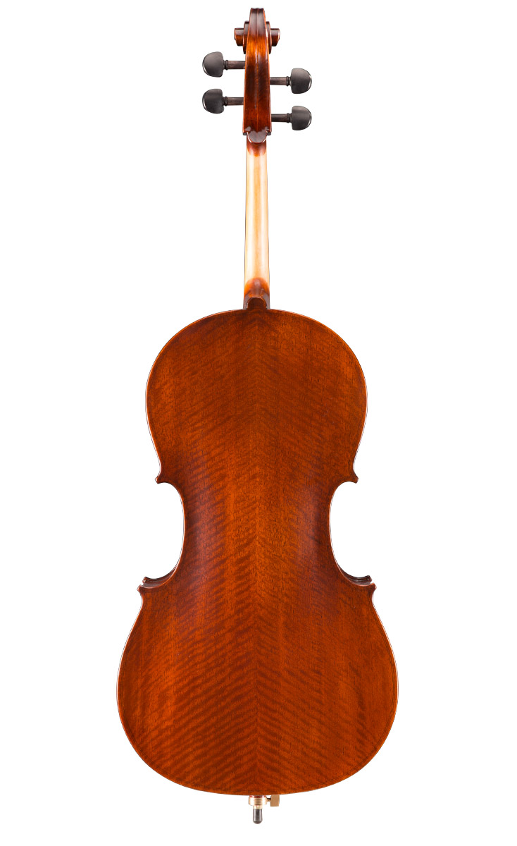 Eastman VC95 Hybrid Cello