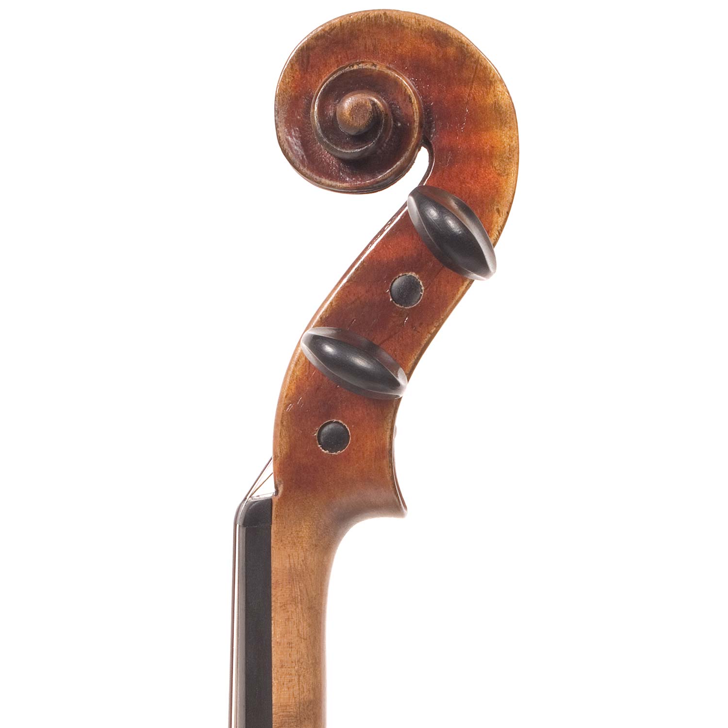 WEB-HAIDE-STRAD-VN-1-large.jpg