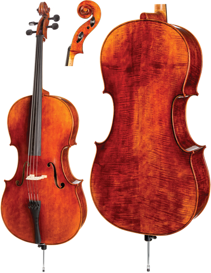 WVS "Artist" C30 Cello