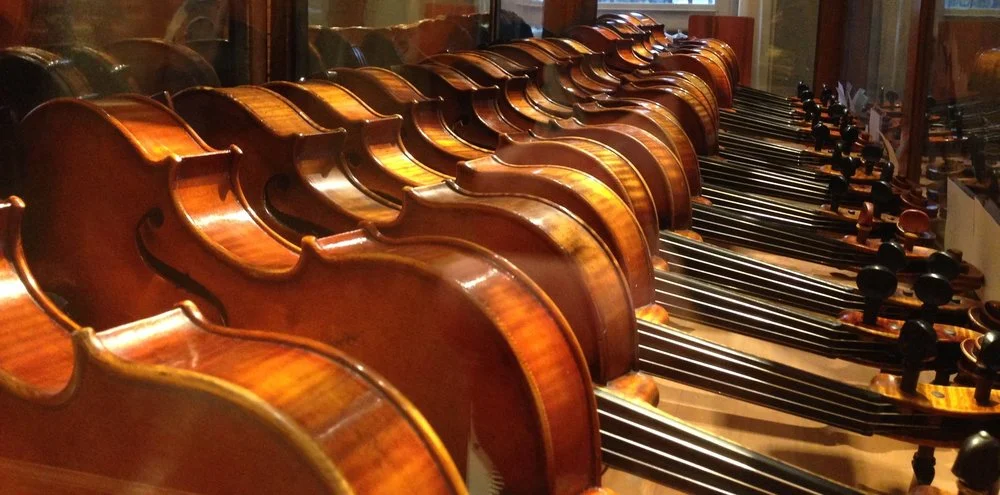 wyatt violin viola cello display for sale.jpg