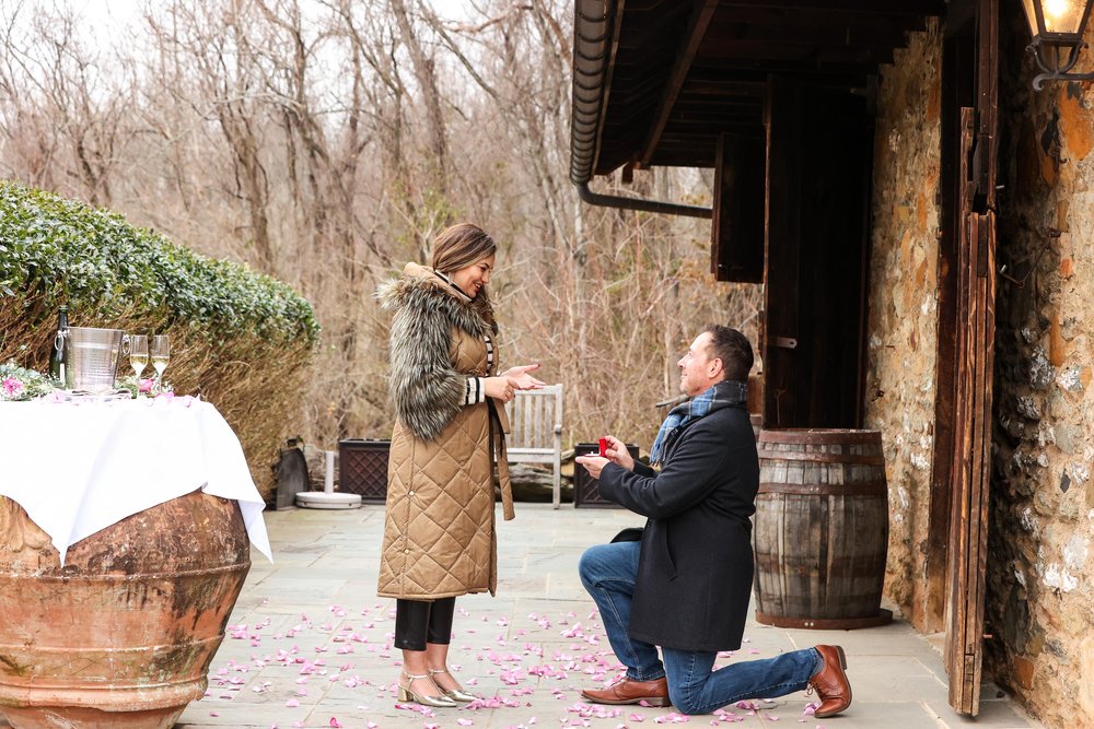 Middleburg Virginia Surprise Proposal 