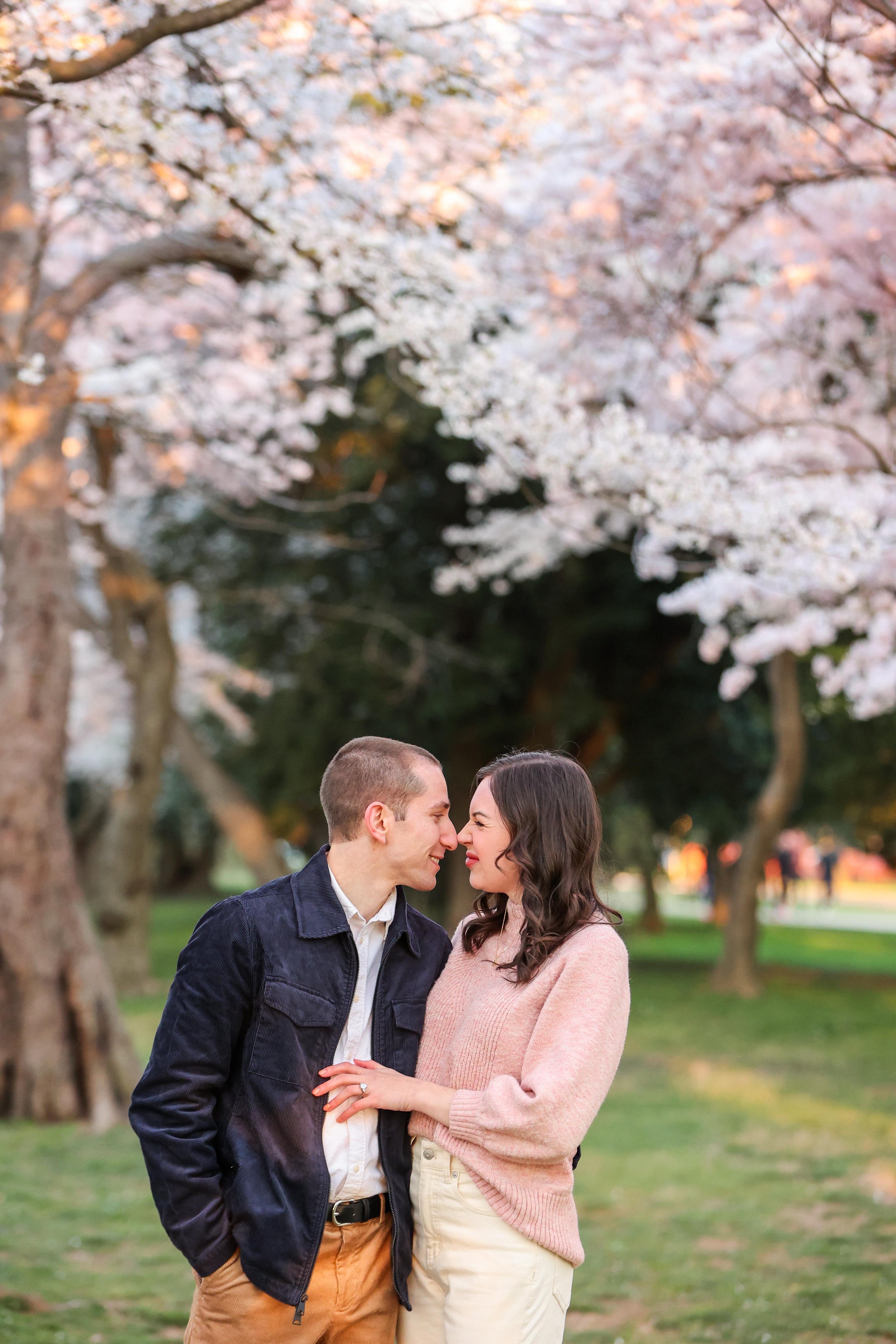 Washington DC Cherry Blossom Engagement Photos