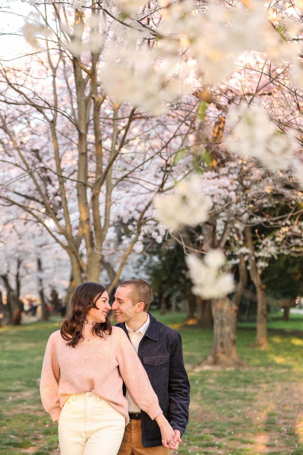 Washington DC Cherry Blossom Engagement Photos