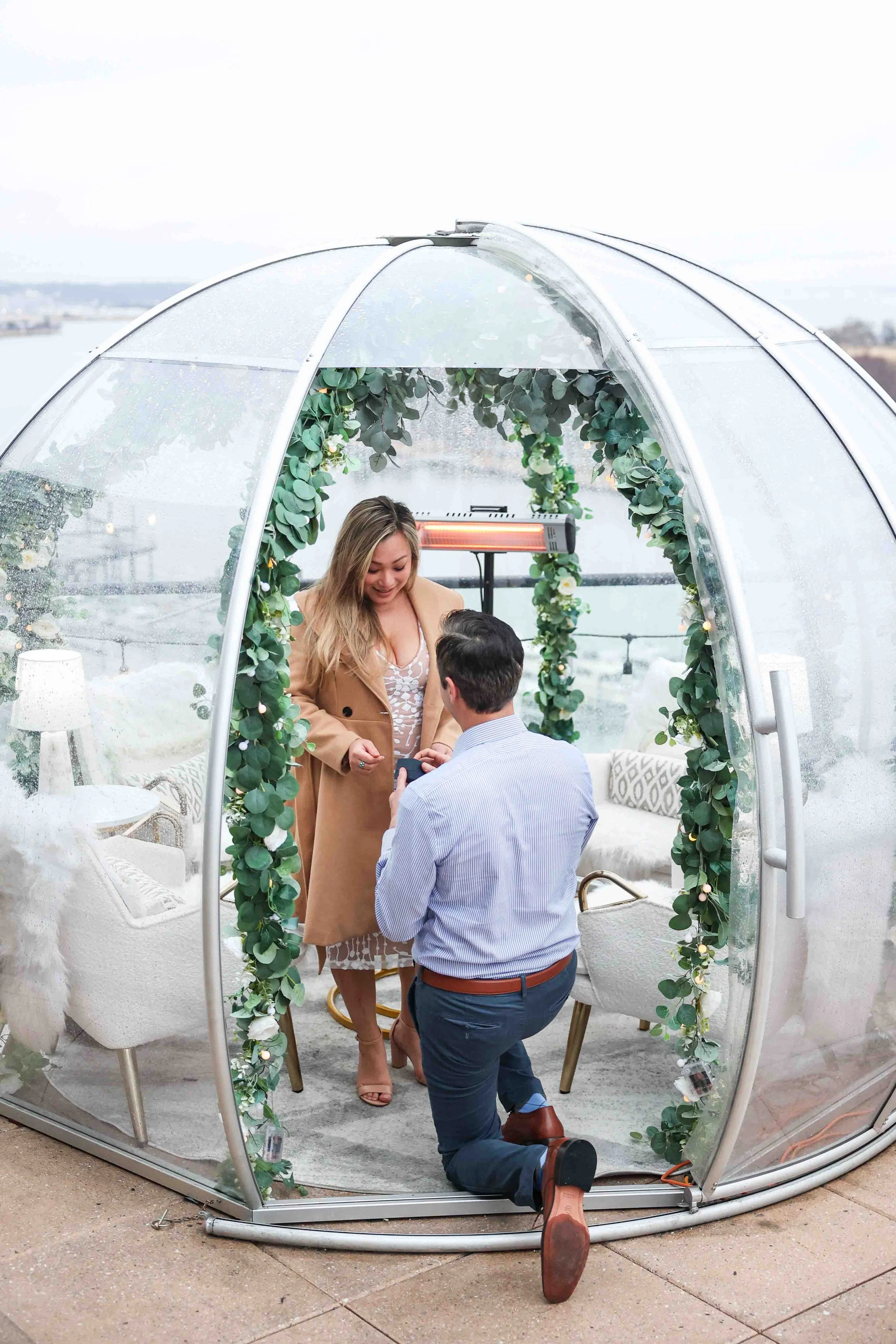 La Vie Surprise Proposal Washington DC