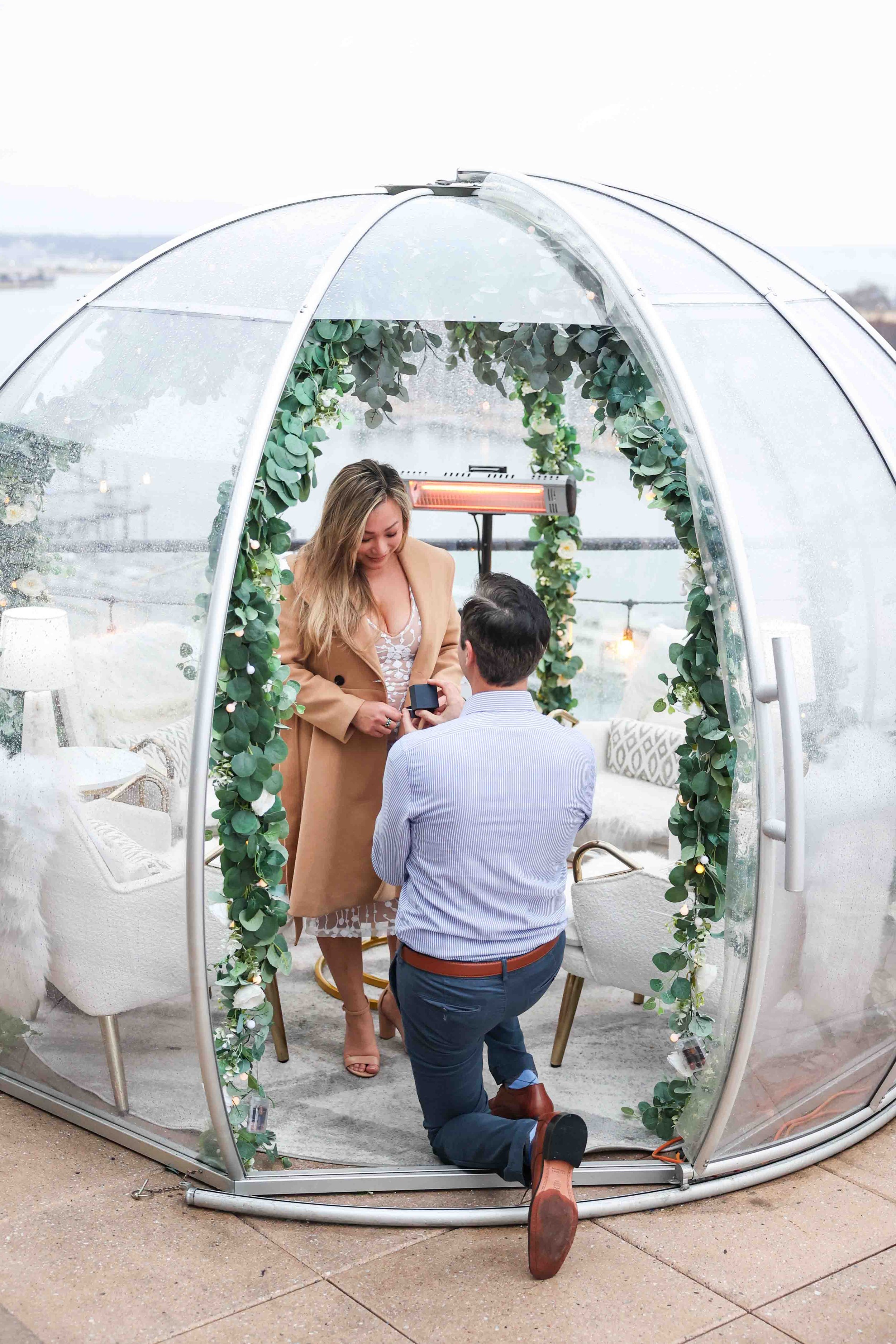 La Vie Surprise Proposal Washington DC
