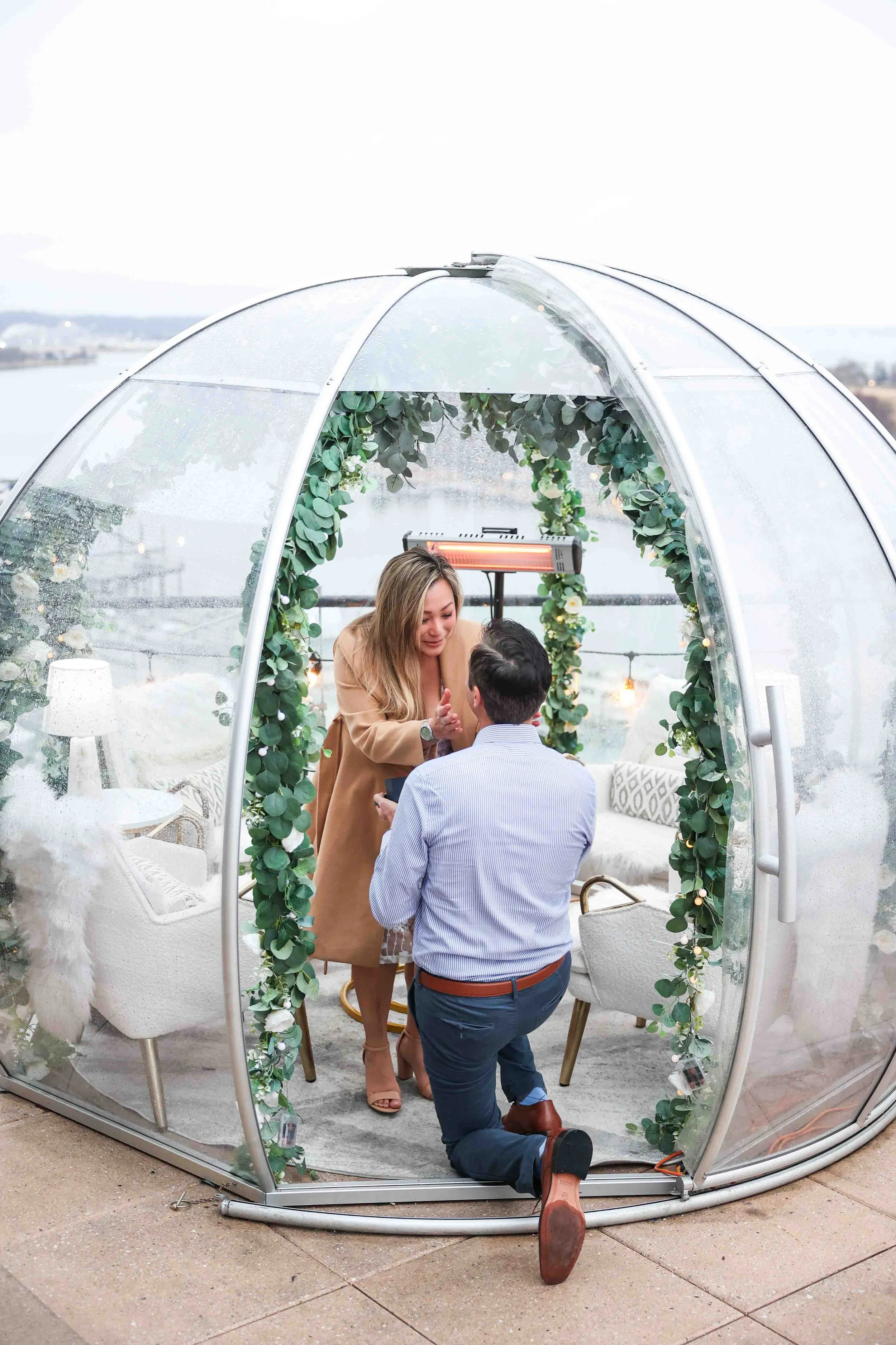 La Vie Surprise Proposal Washington DC