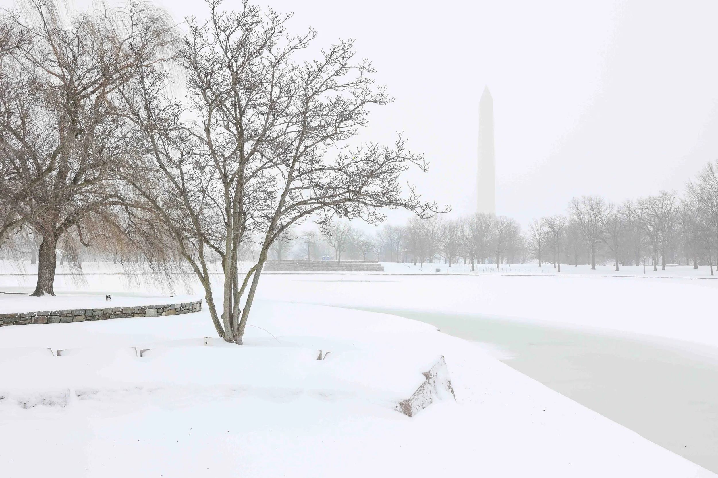 DC Proposal Photographer