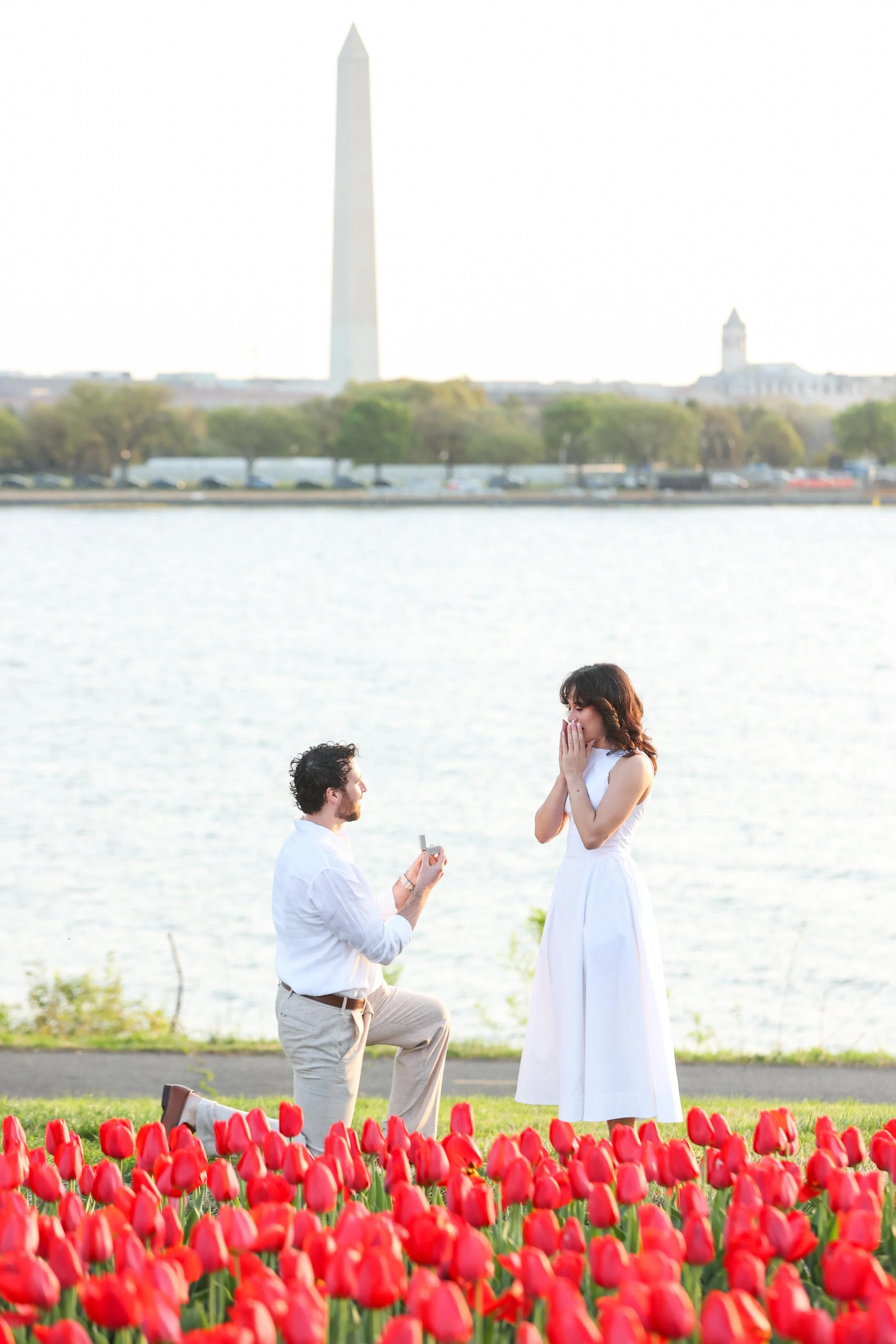 Arlington Navy Merchant Memorial Tulip Surprise Proposal