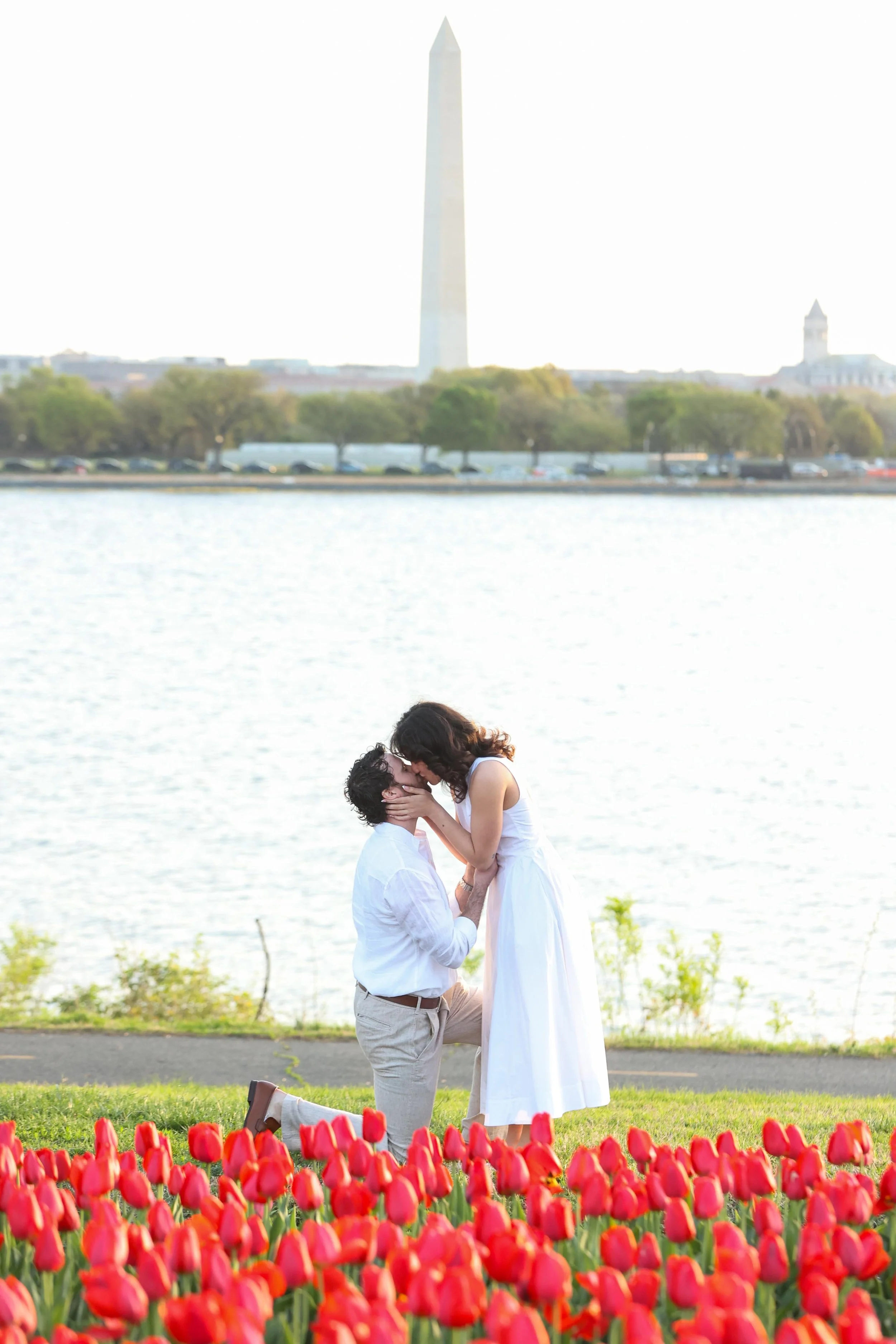 Arlington Navy Merchant Memorial Tulip Surprise Proposal