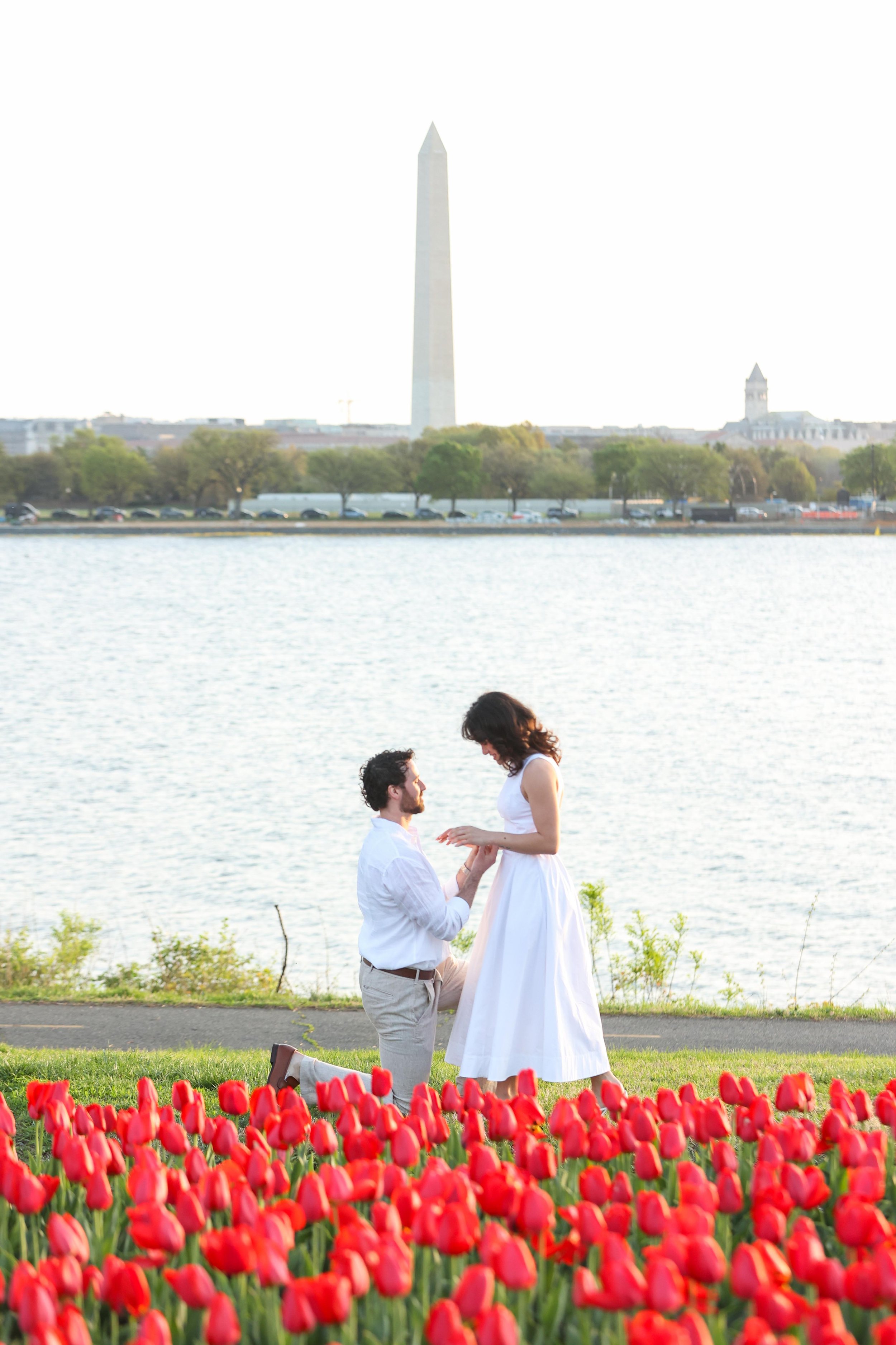 Arlington Navy Merchant Memorial Tulip Surprise Proposal