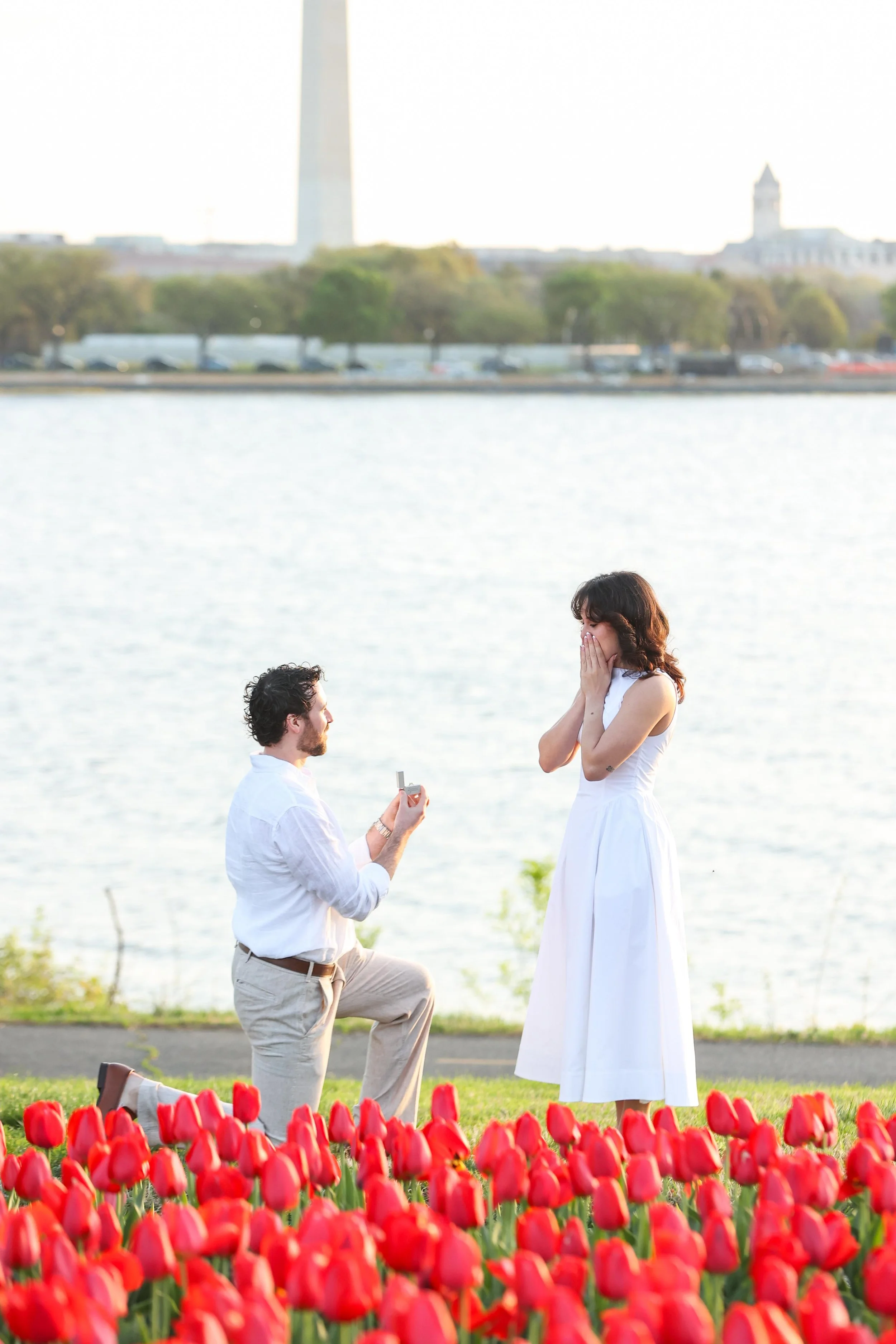 Arlington Navy Merchant Memorial Tulip Surprise Proposal