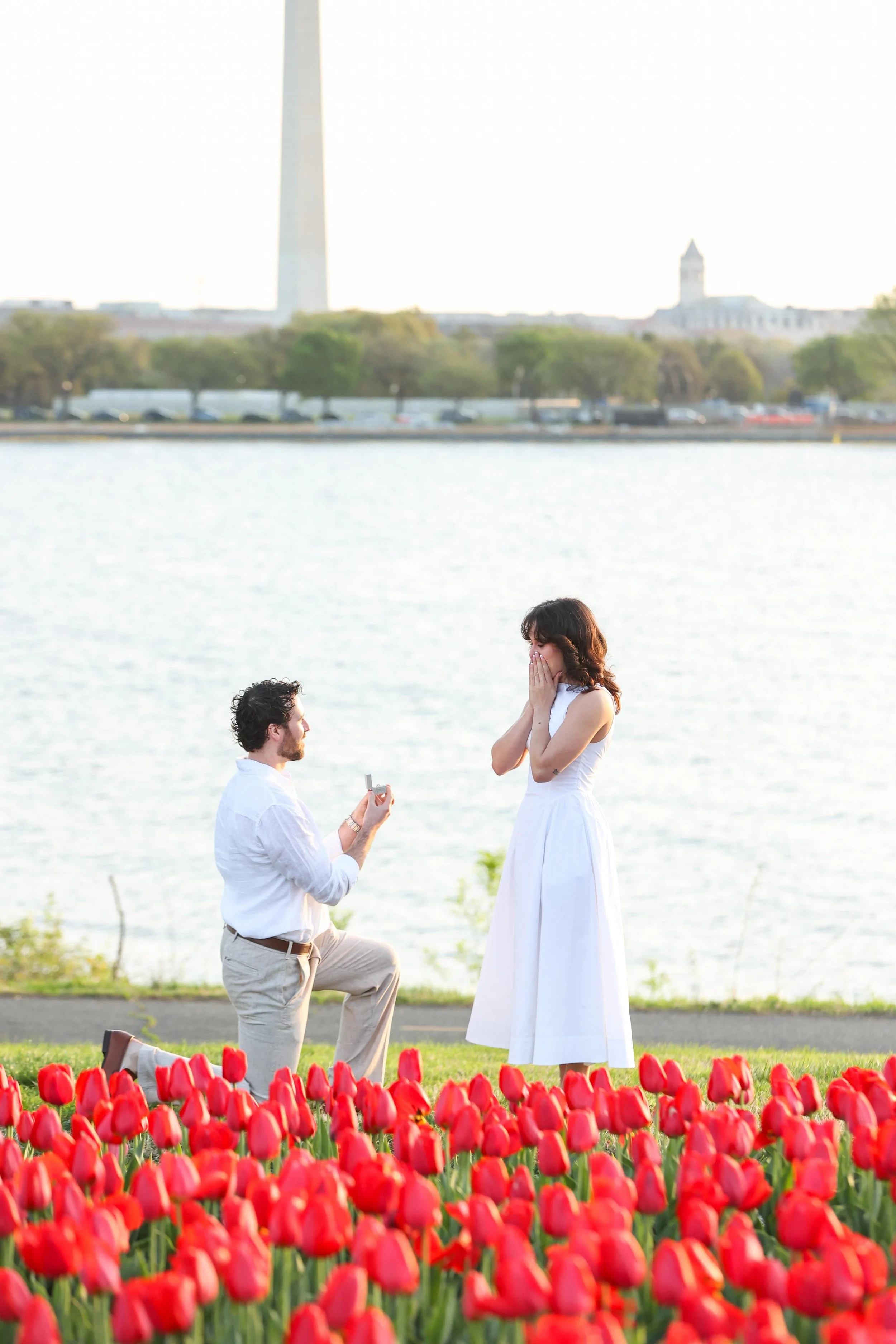 Arlington Navy Merchant Memorial Tulip Surprise Proposal