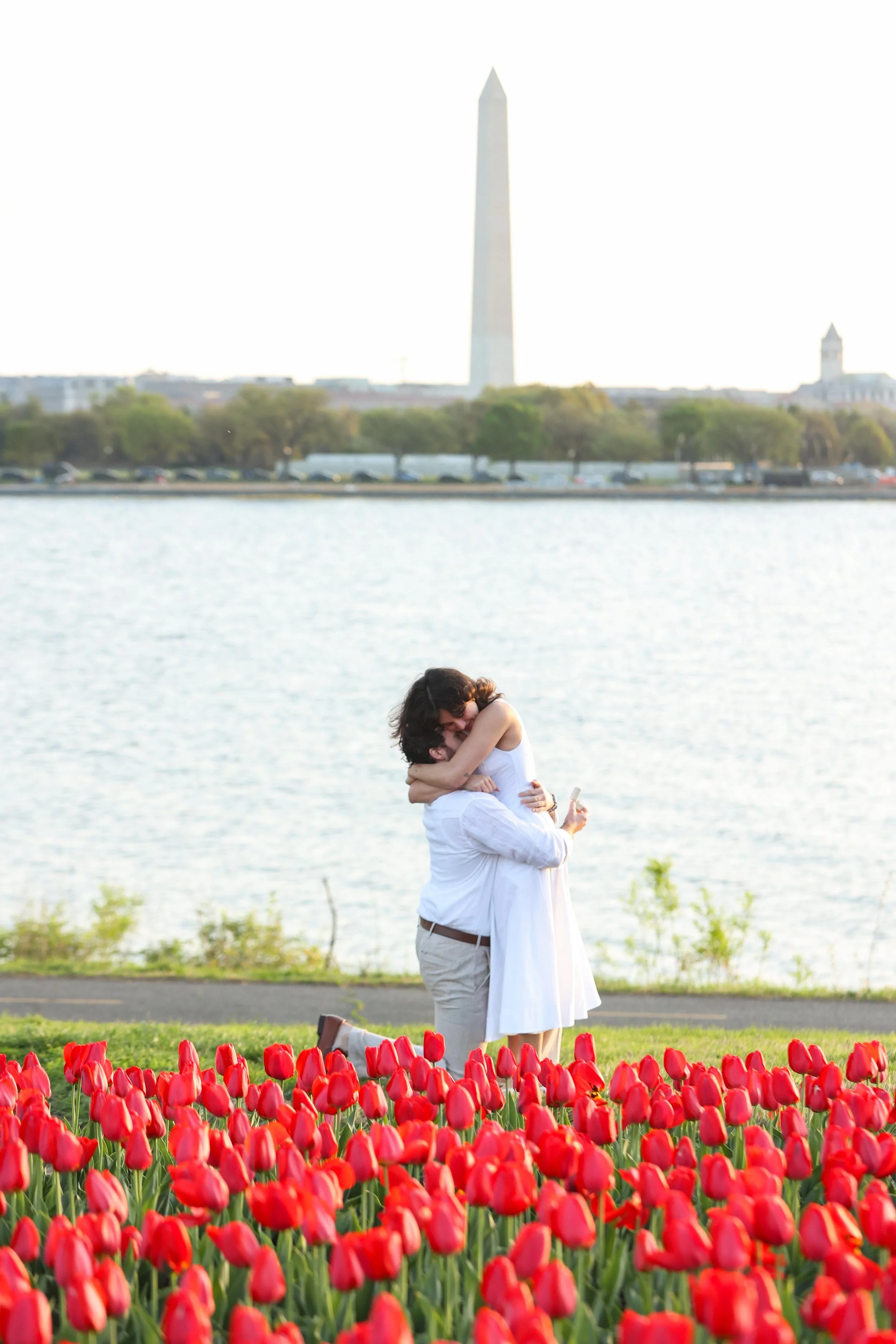 Arlington-Navy-Merchant-Memorial-Tulip-Surprise-Proposal-7.jpg
