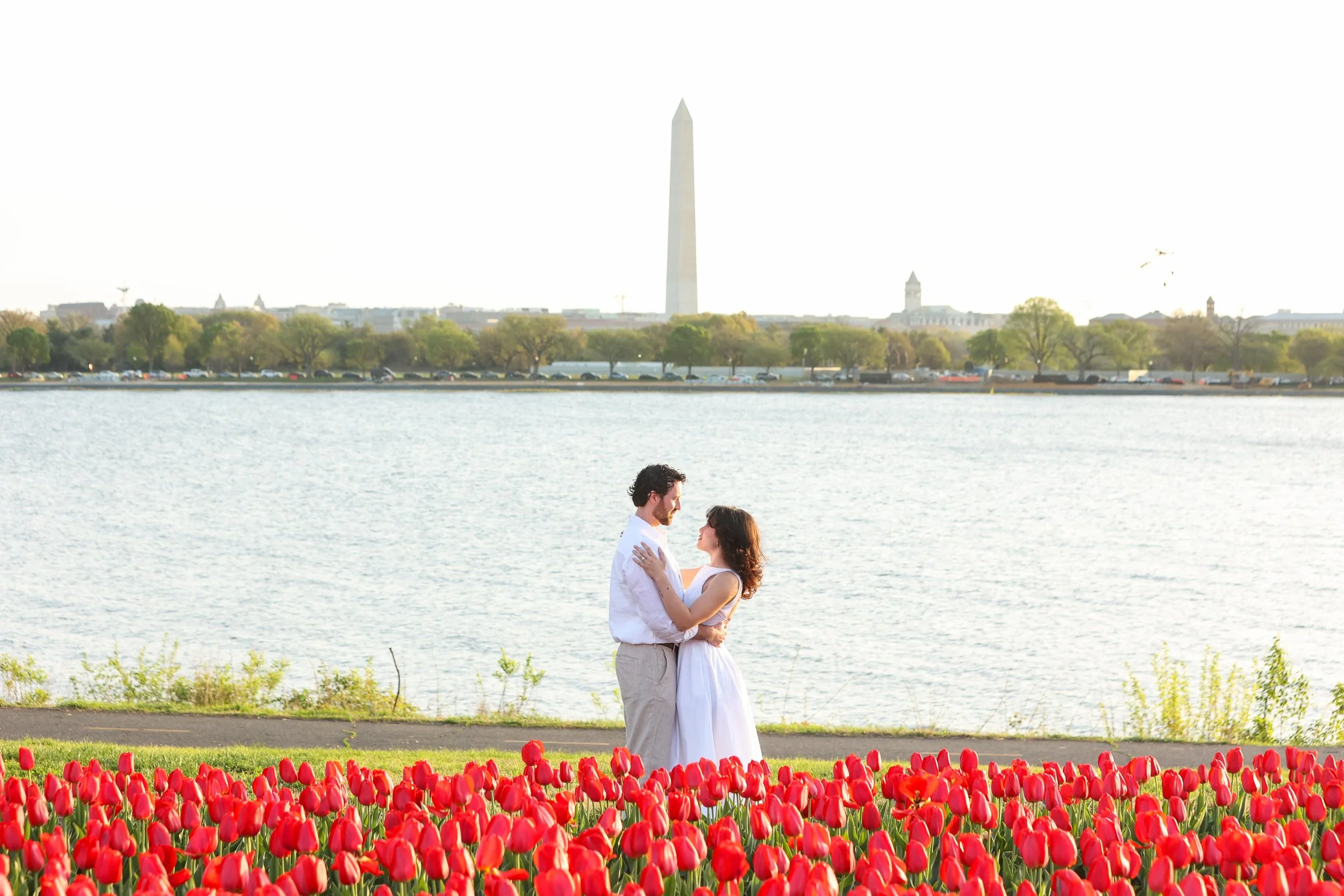 Surprise proposal with tulips in DC