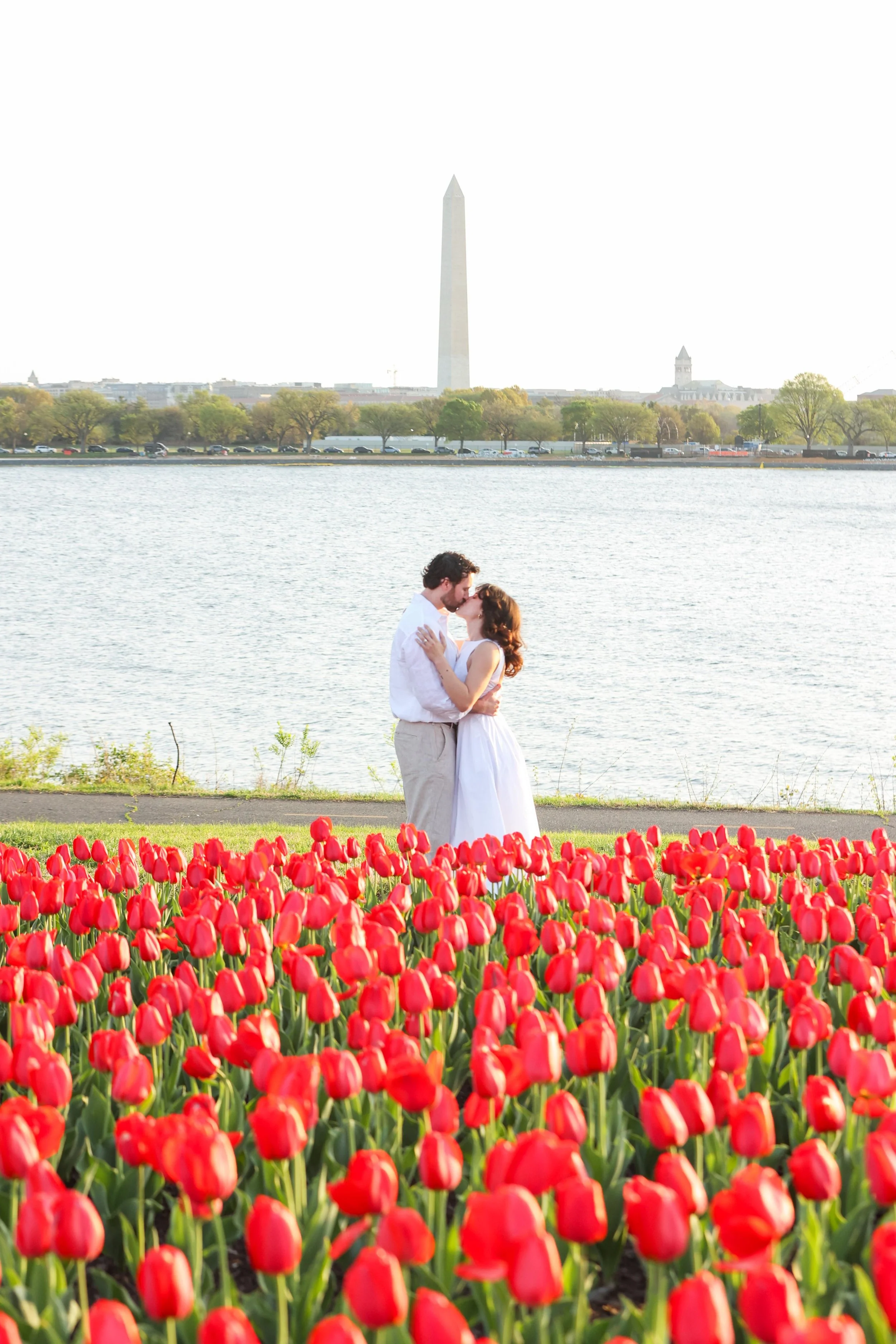 Surprise proposal with tulips in DC