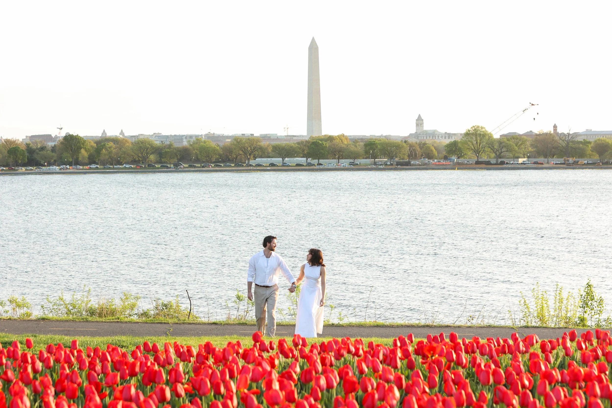 Surprise proposal with tulips in DC