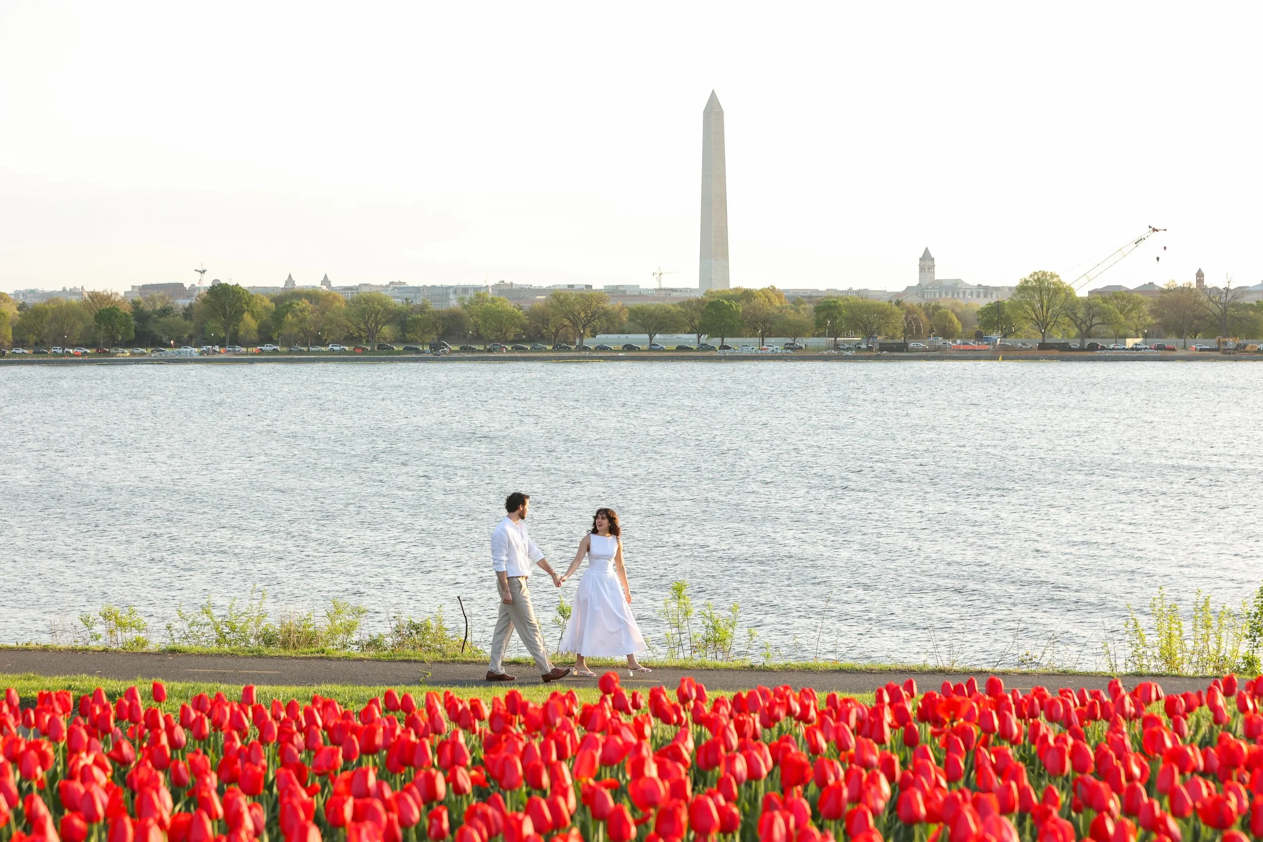 Surprise proposal with tulips in DC