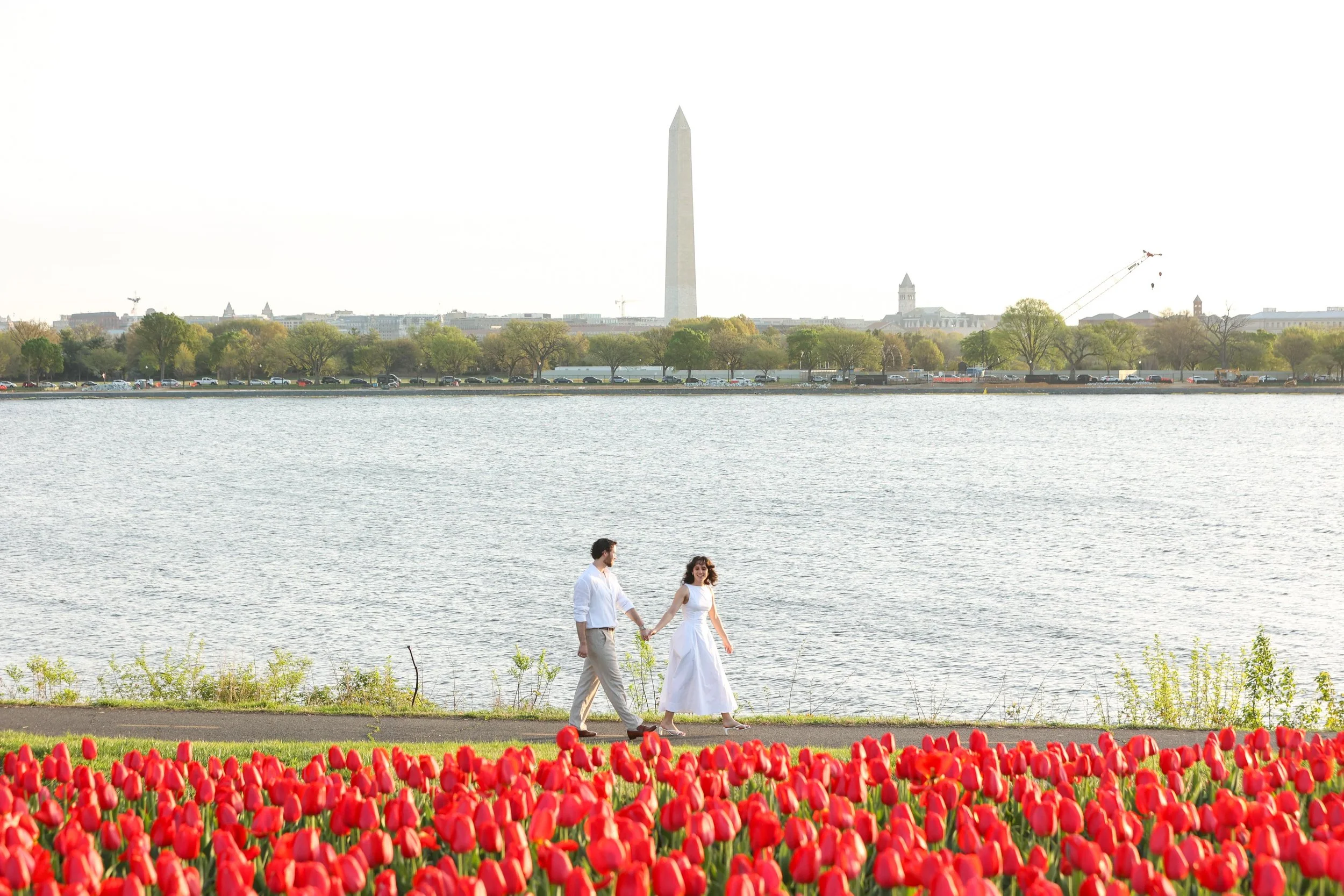 Surprise proposal with tulips in DC