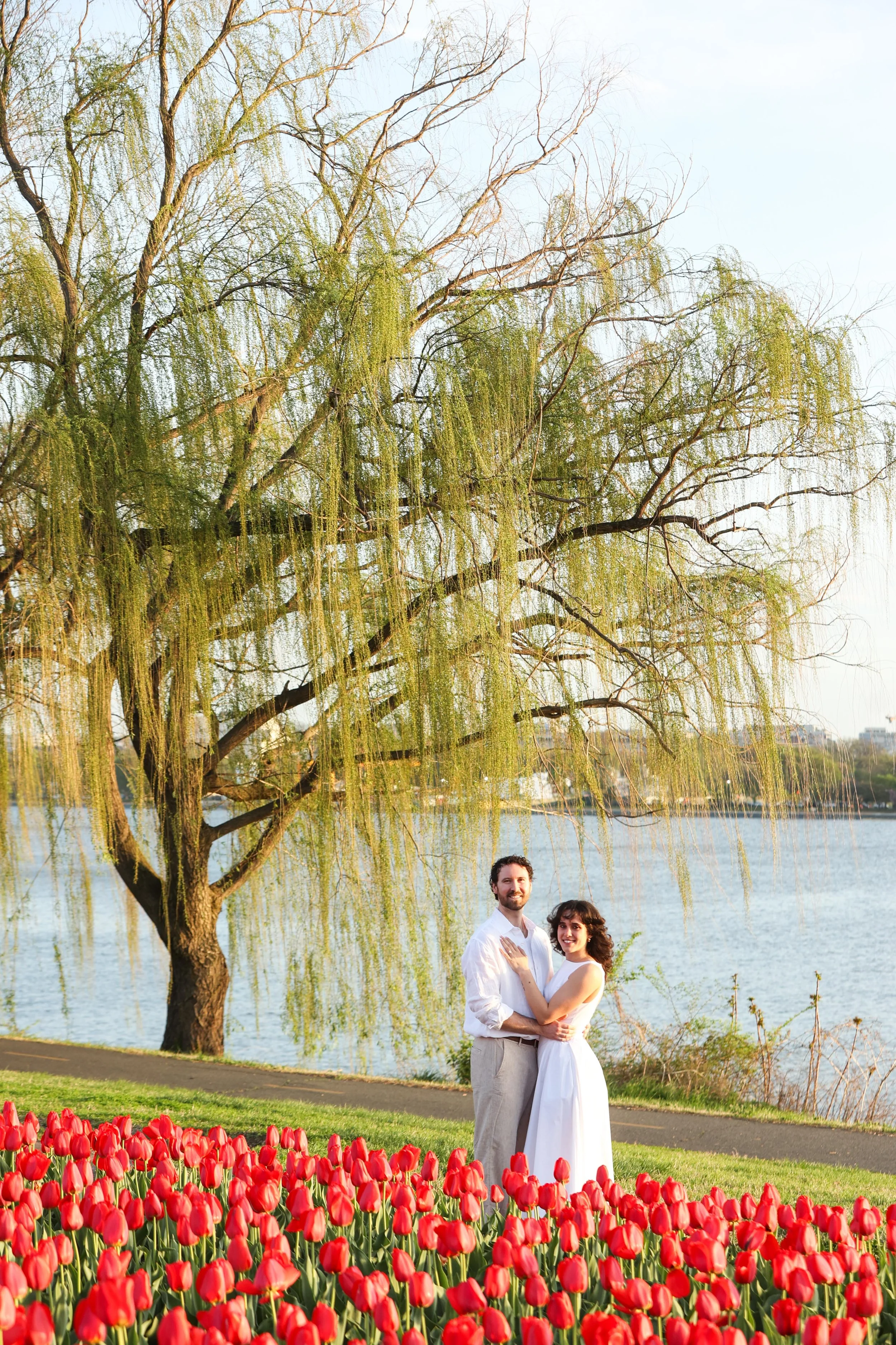 Surprise proposal with tulips in DC