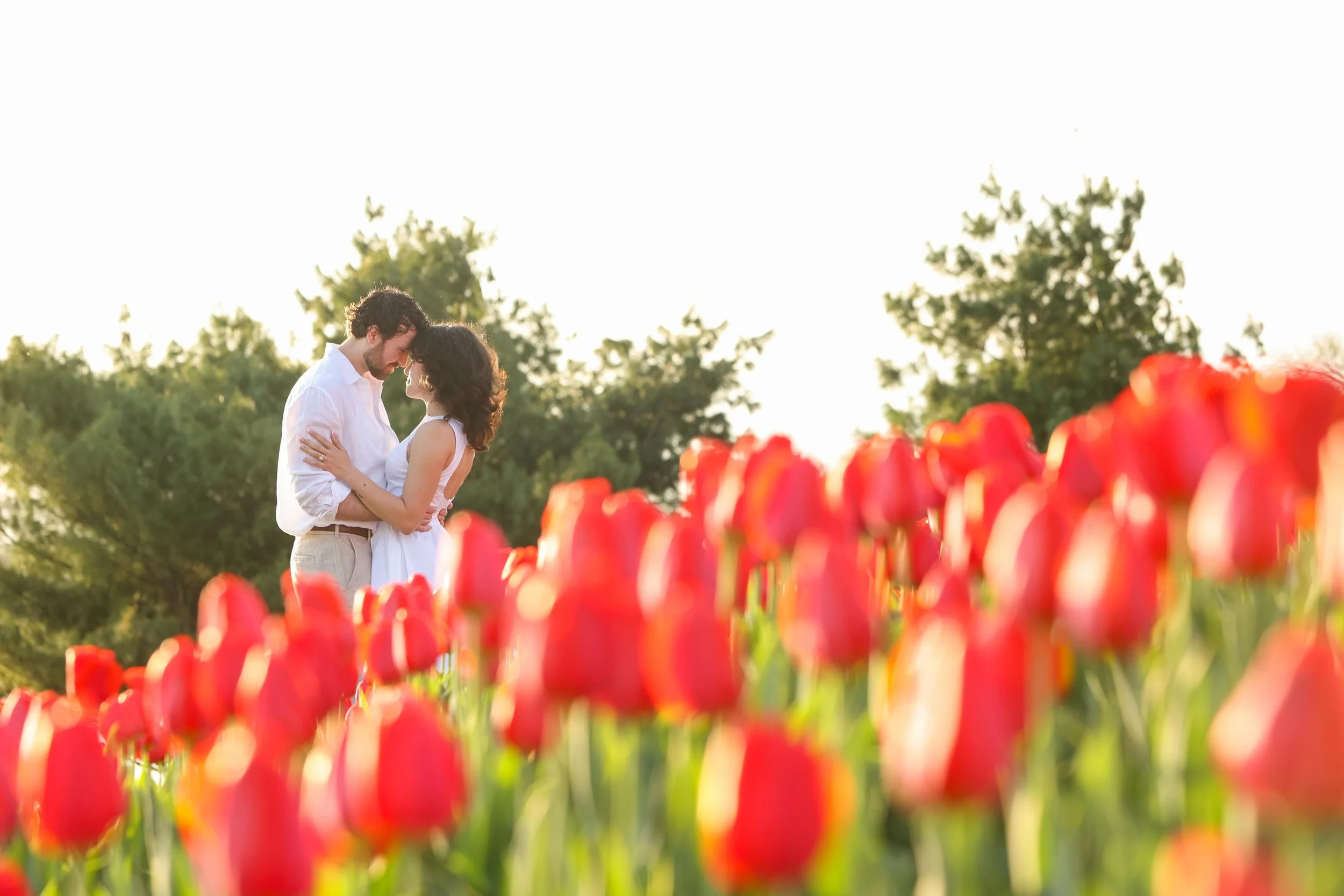 DC Surprise Engagement Photographer