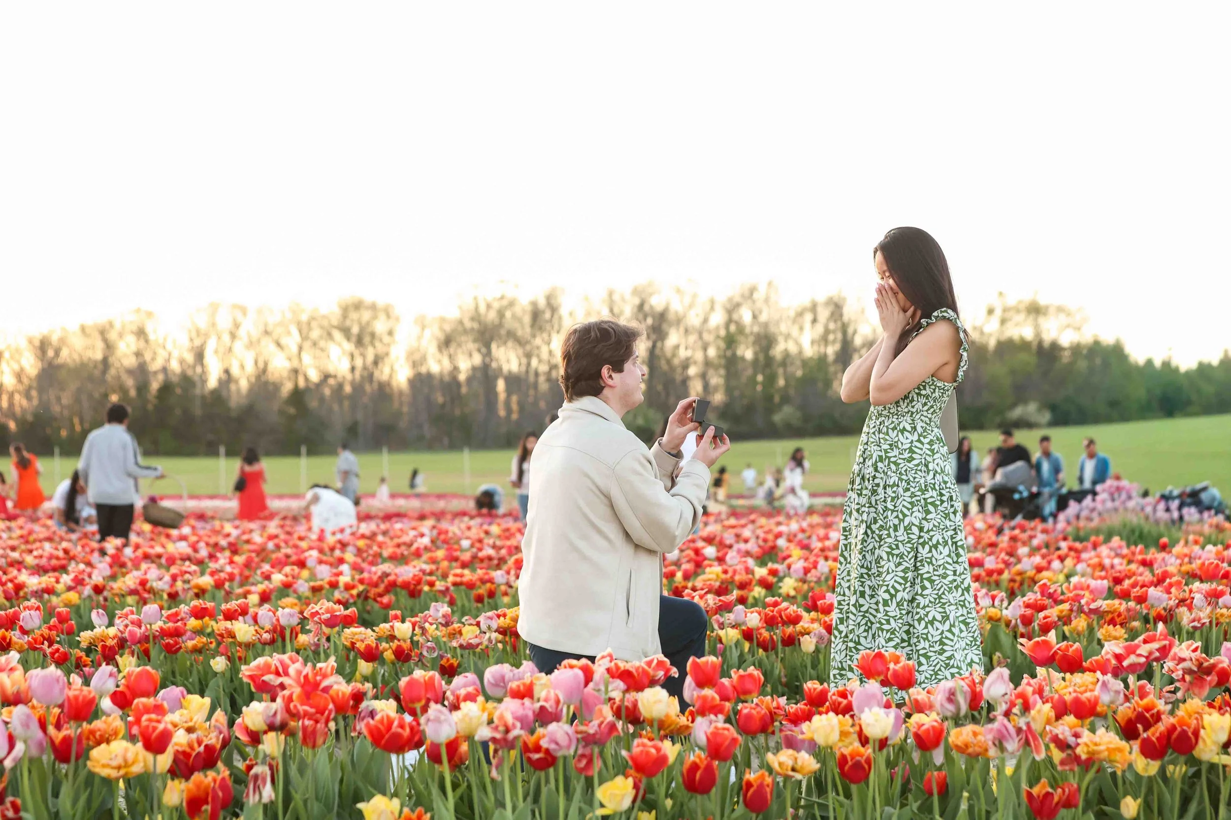 Surprise Proposal at Burnsides Farm