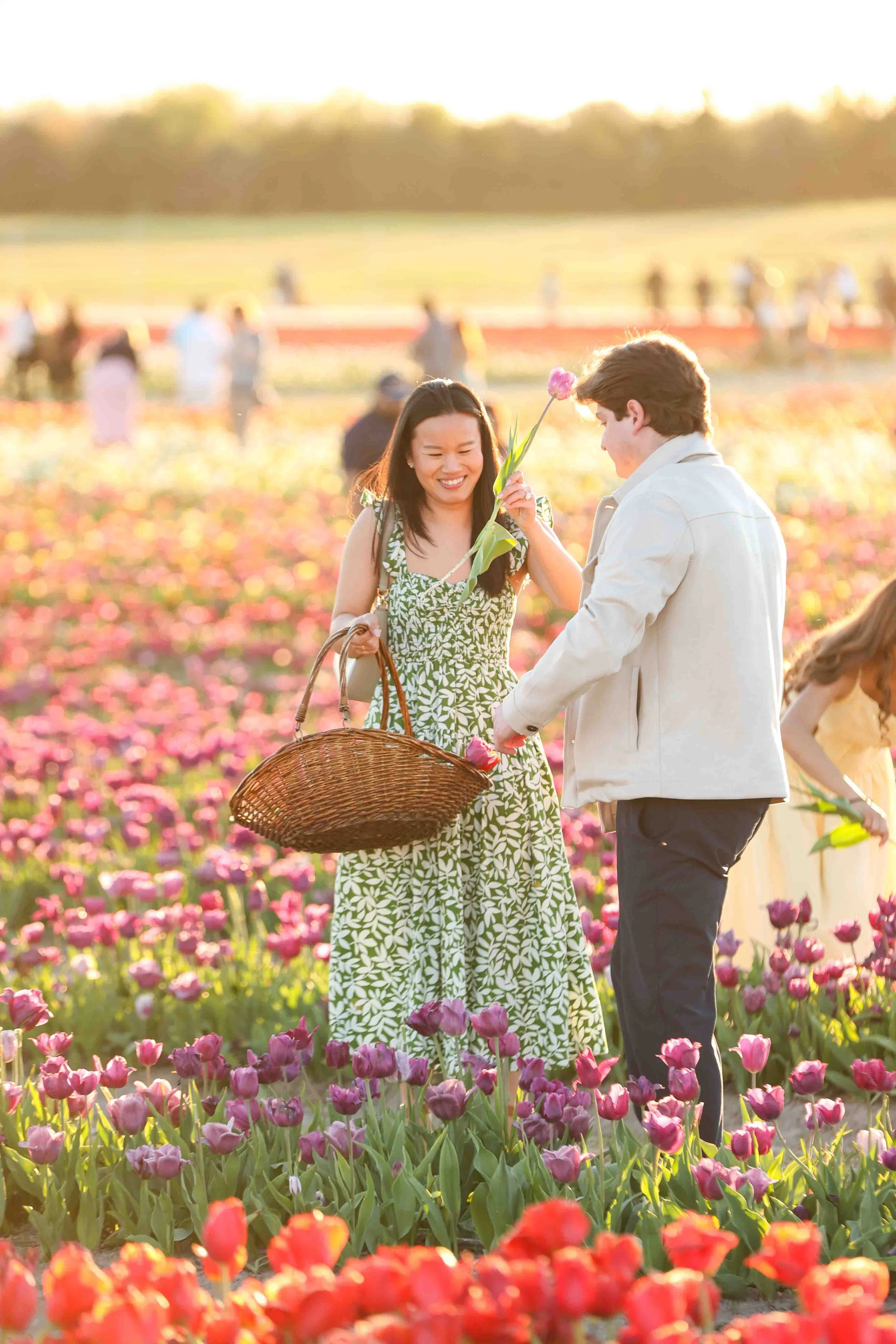 Tulip Farm Surprise Proposal in Virginia