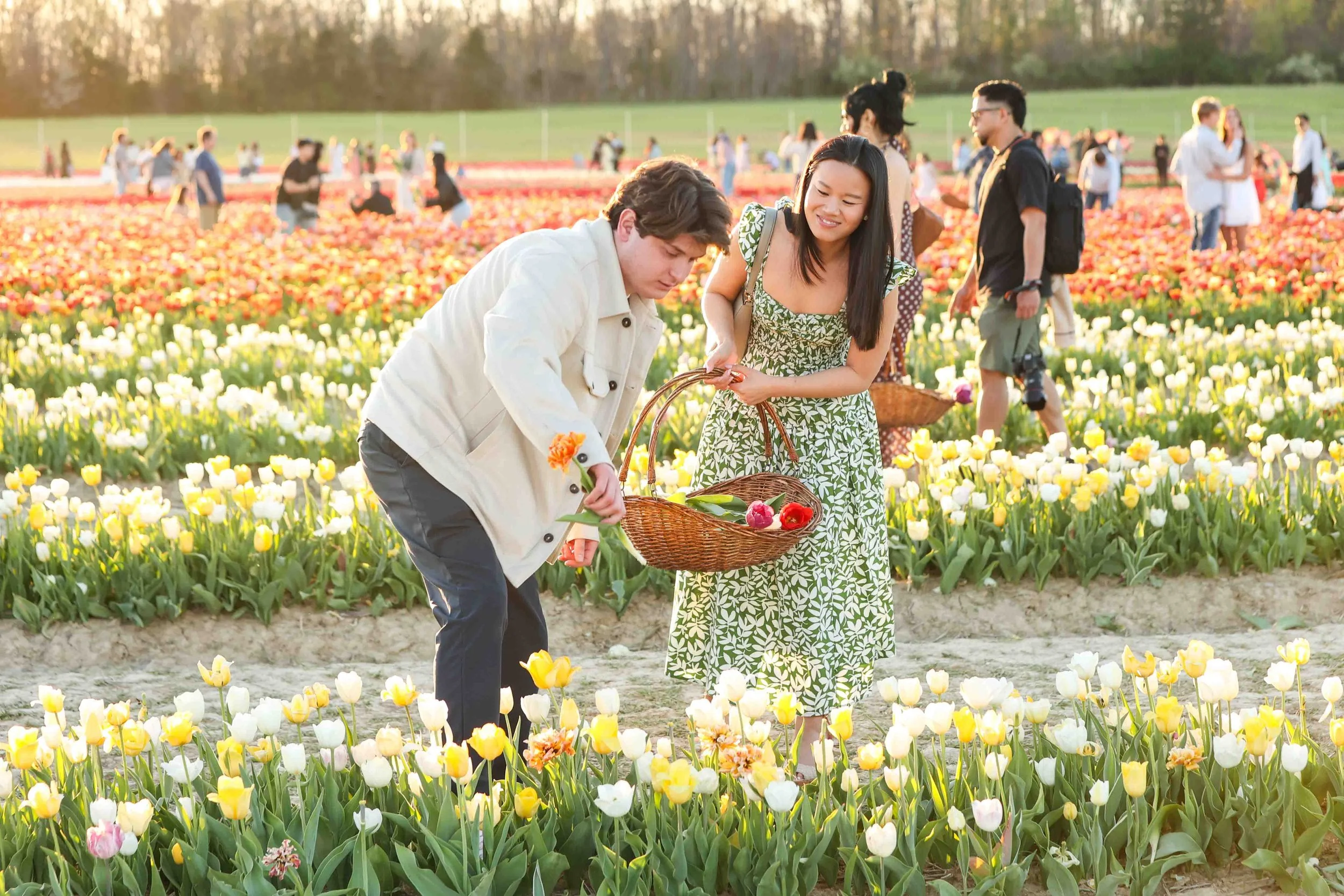 Tulip Farm Engagement Photos in Virginia