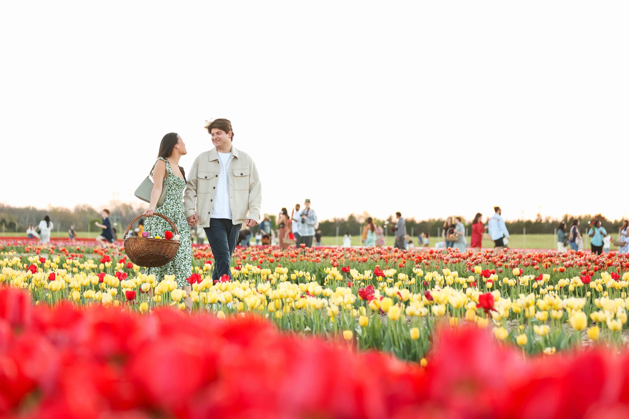 Virginia Engagement Photographer