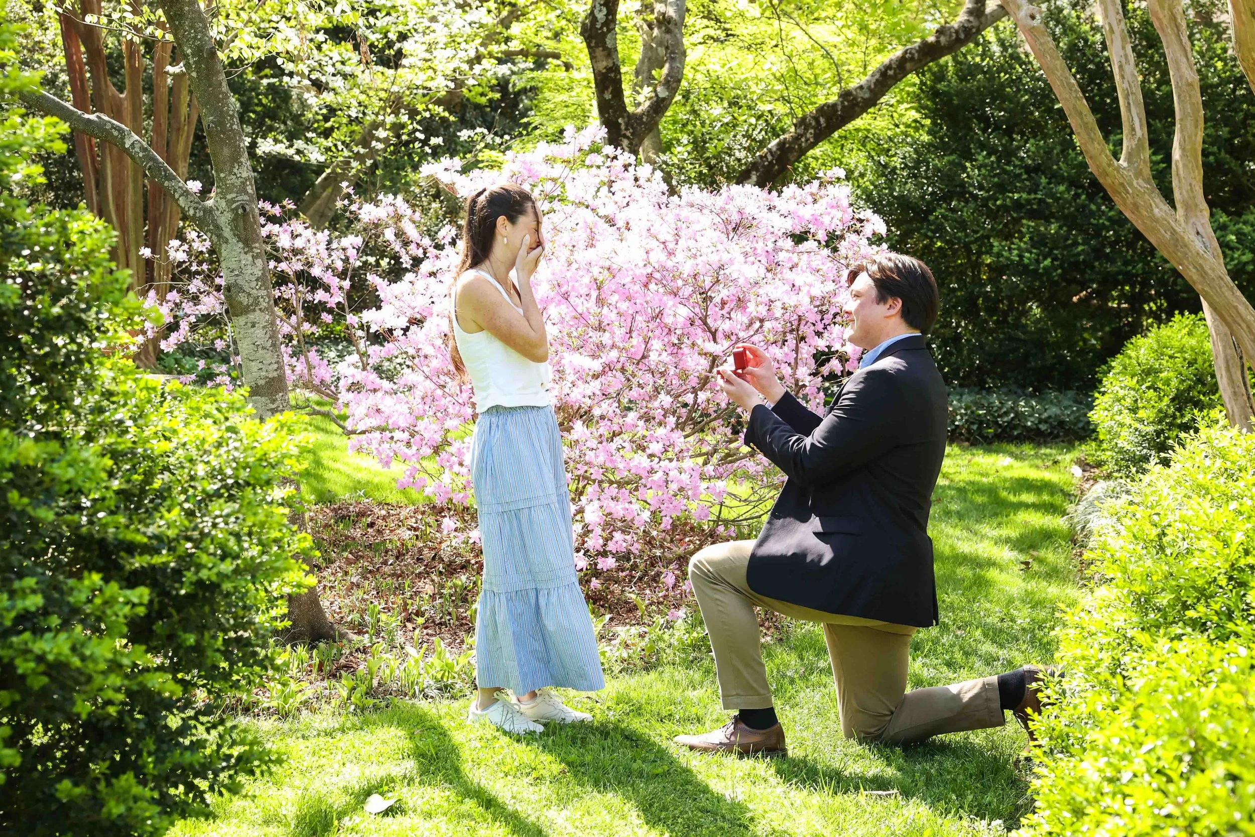 Tudor Place Surprise Proposal