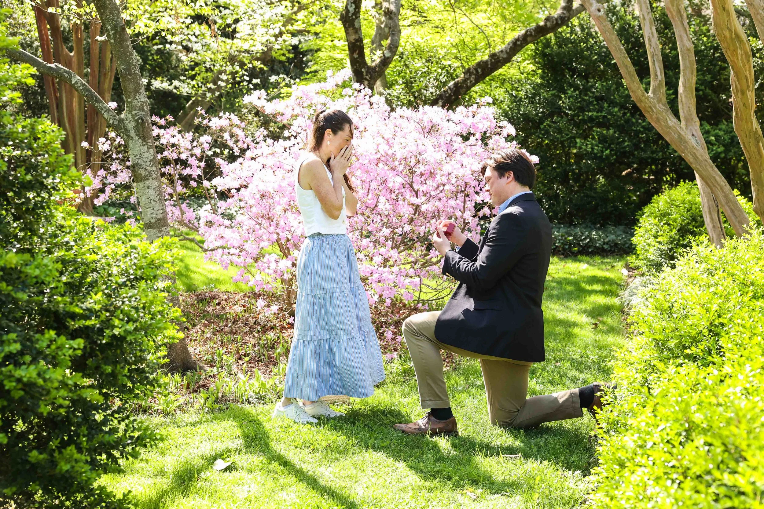 Tudor Place Surprise Proposal