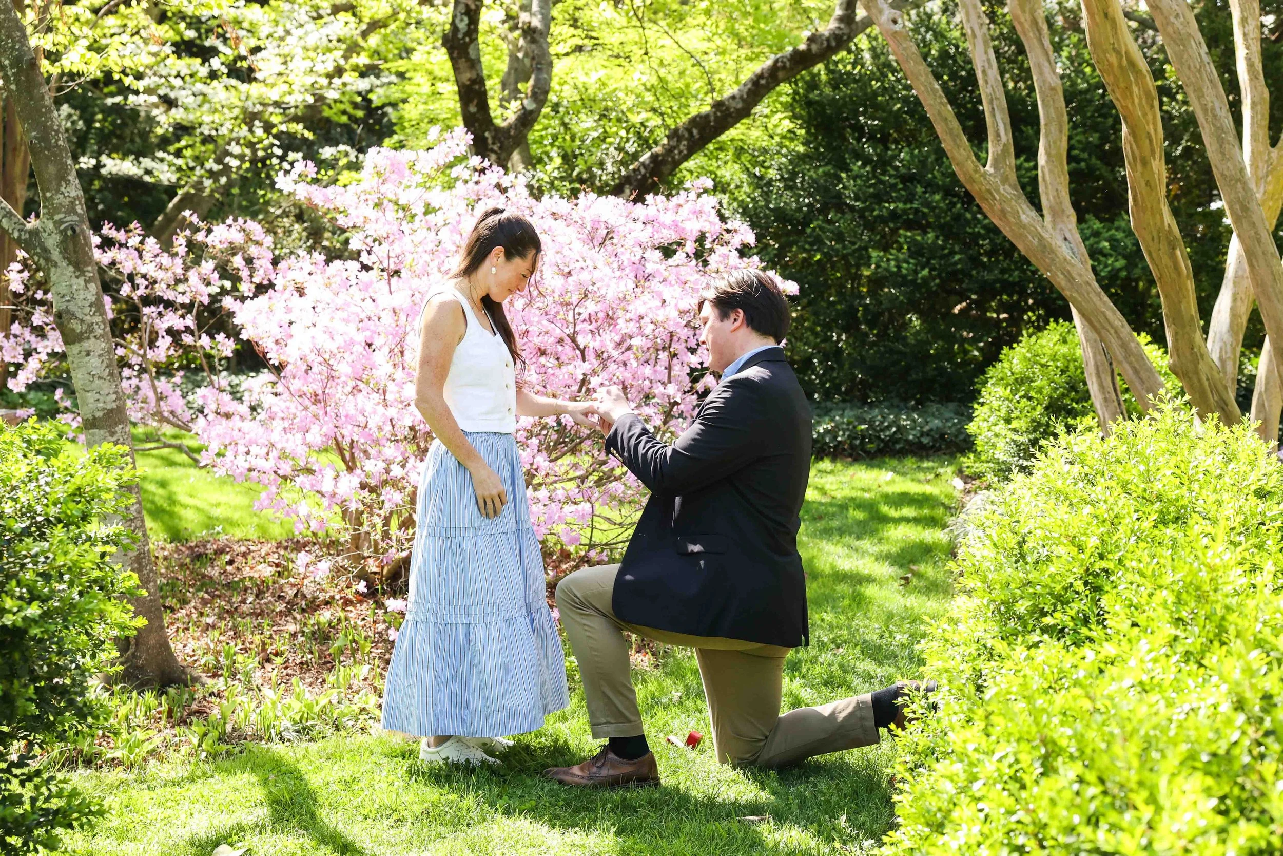 Tudor Place Surprise Proposal