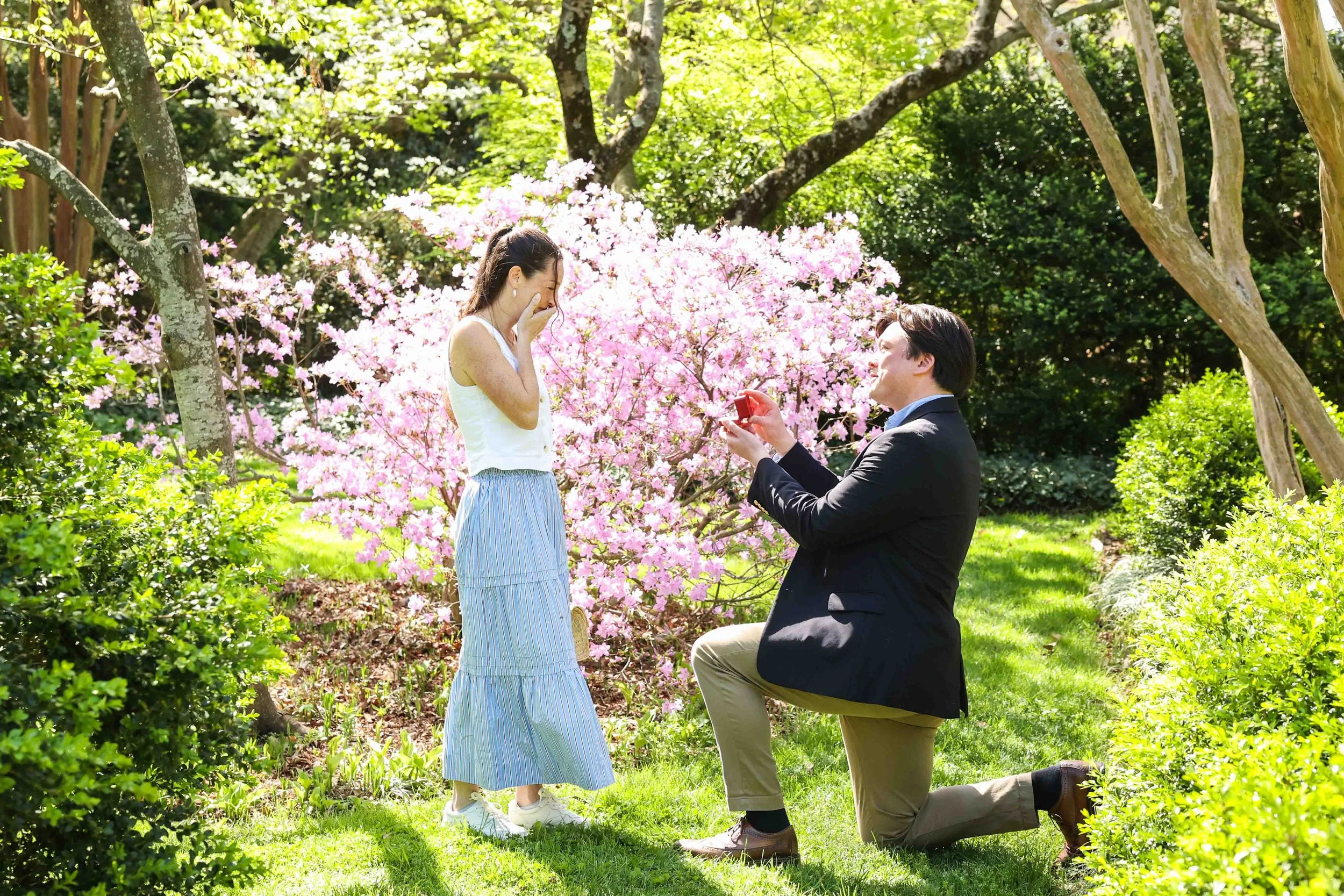 DC surprise proposal at Tudor Place