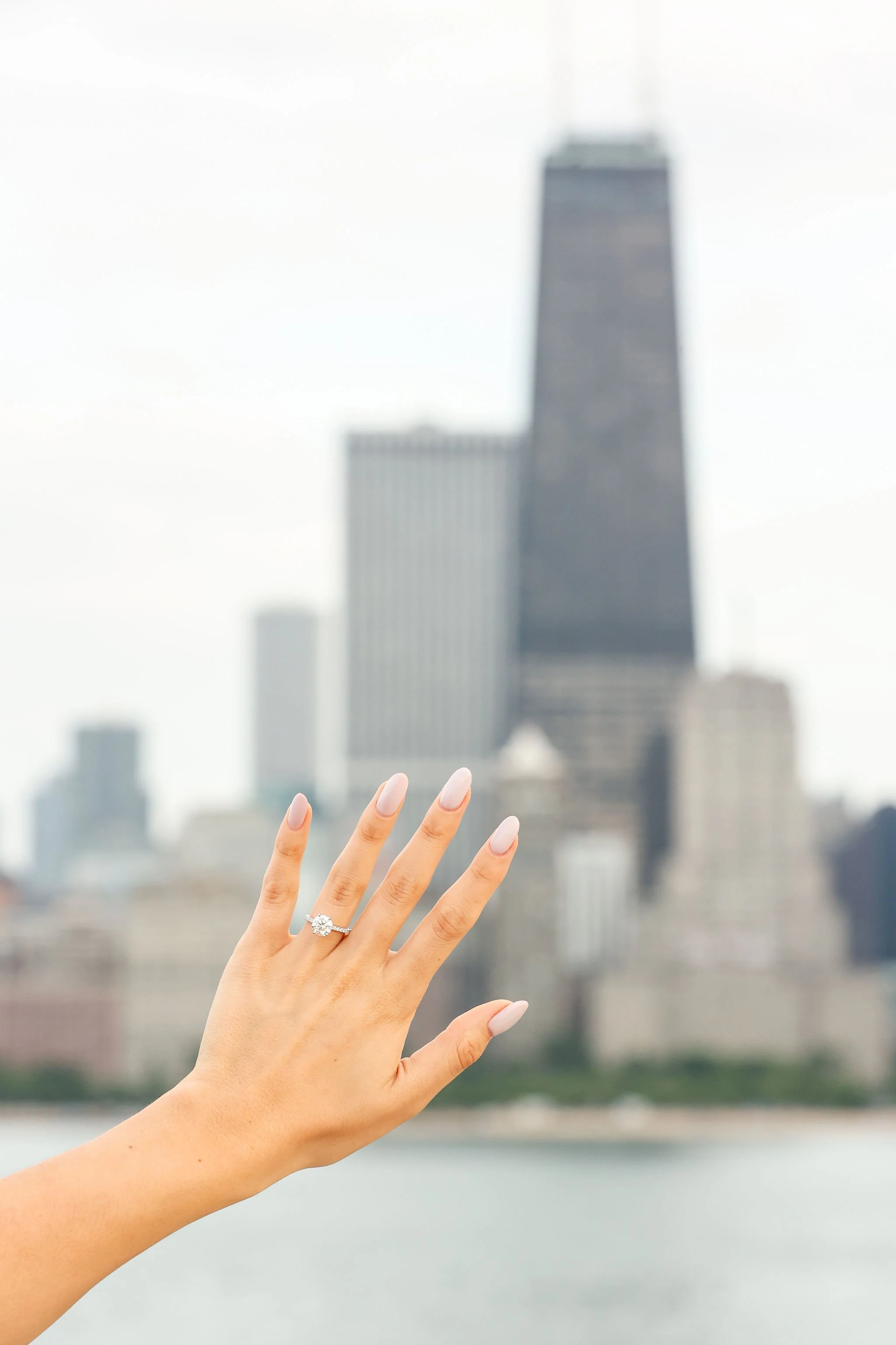 Pablo-&-Daniela-Chicago-Proposal(photobywww.jonflemingphotography.com)-52.jpg