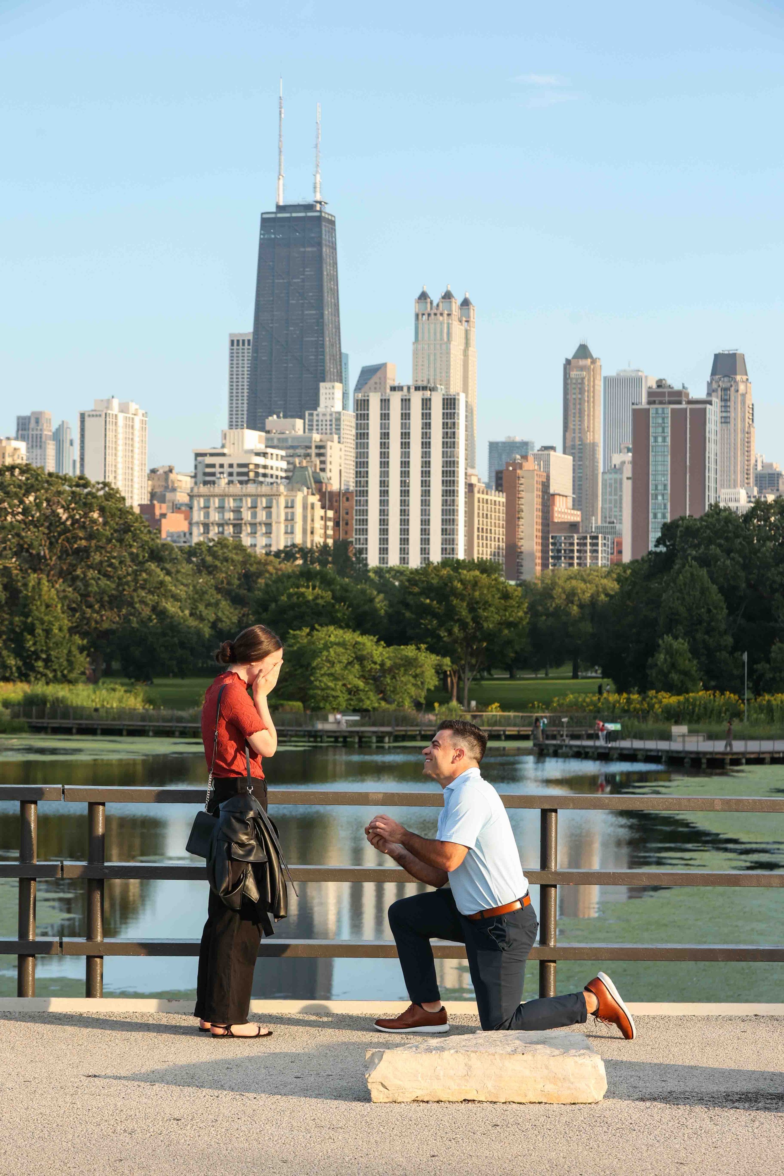 Chicago Lincoln Park South Pond Bridge Surprise Proposal 