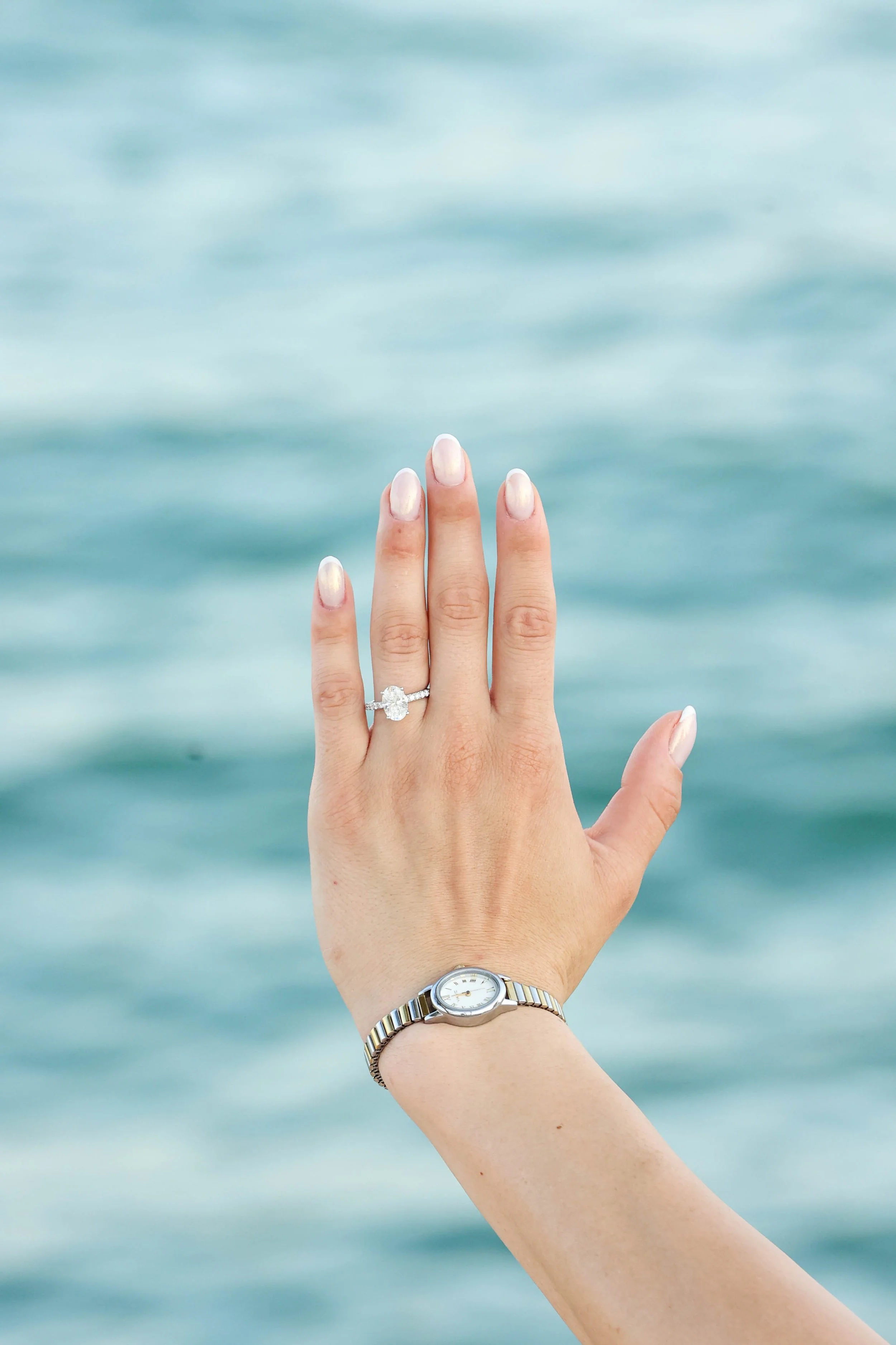 Chicago Engagement Photographer