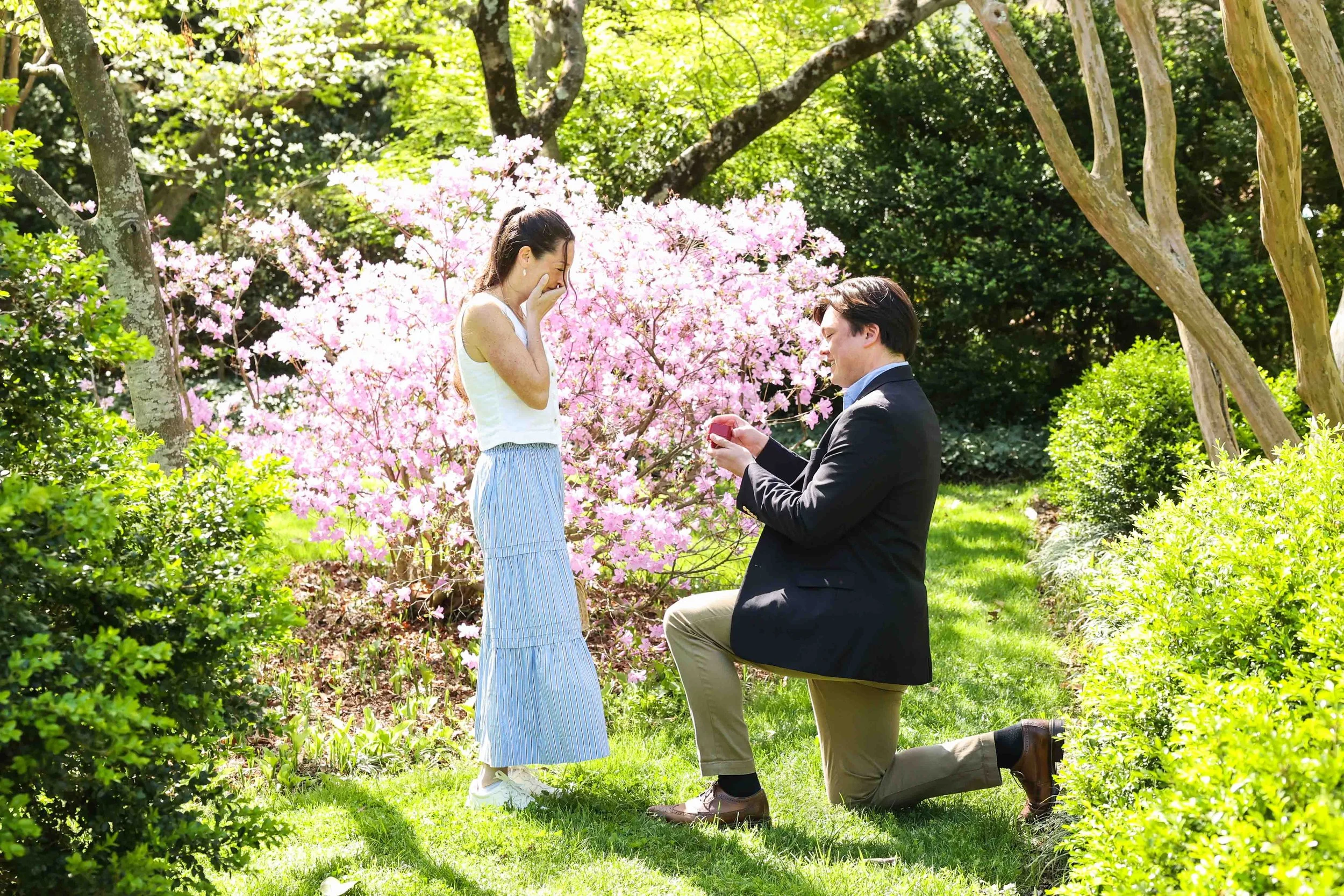 DC Garden proposal at Tudor Place