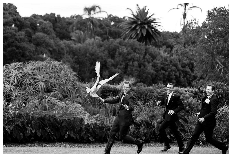 groomsmen photographer sydney centennial park wedding