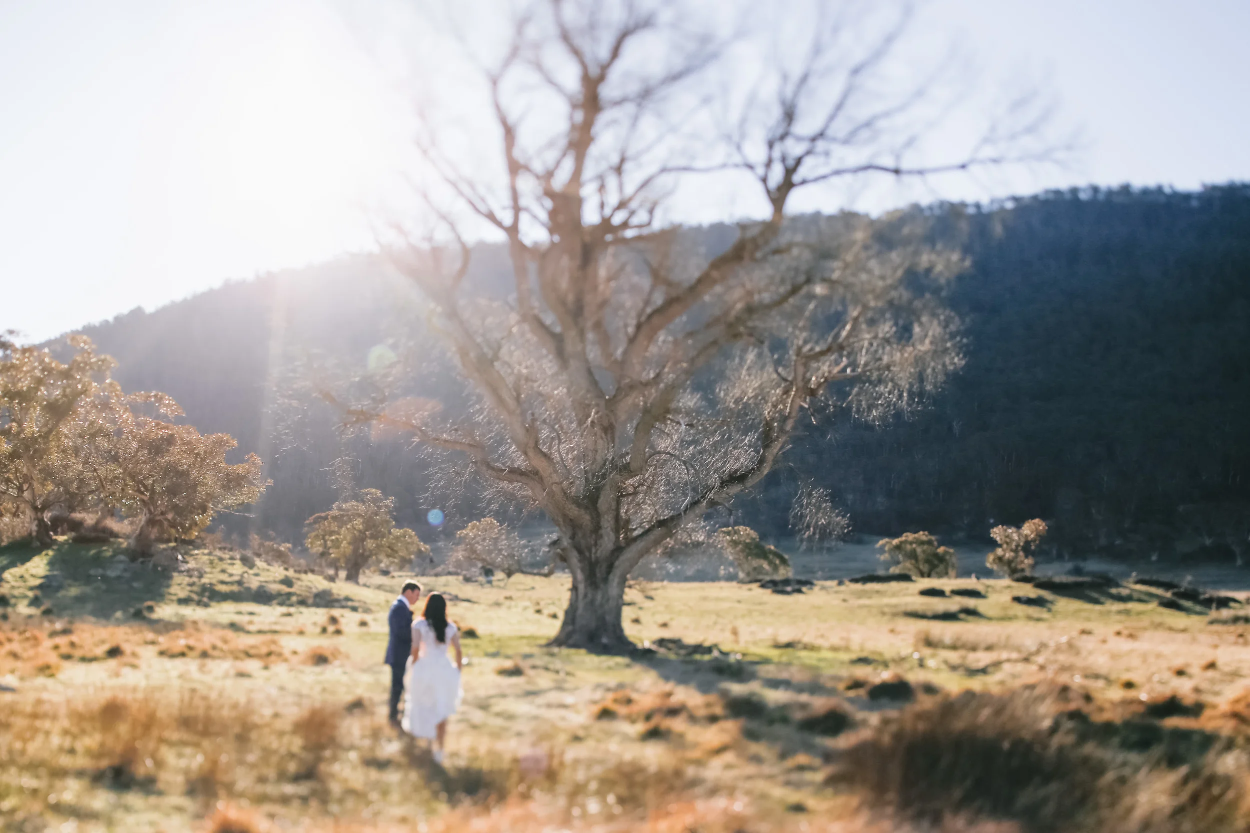 Wedding advice - how to schedule your wedding 