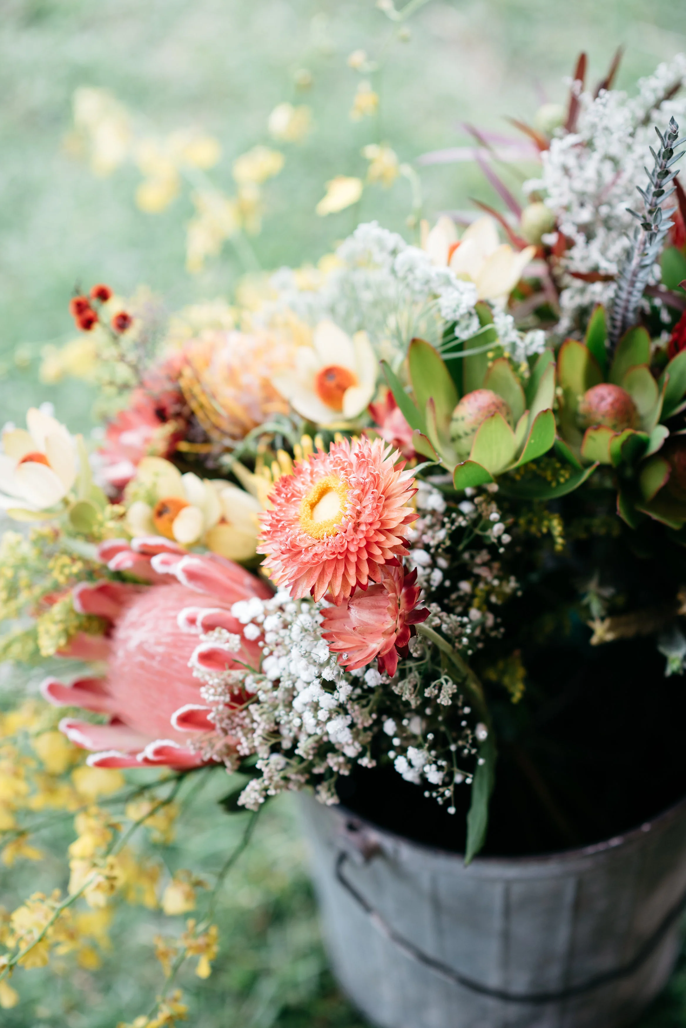 20151031_SheilaMaurice_270.jpg