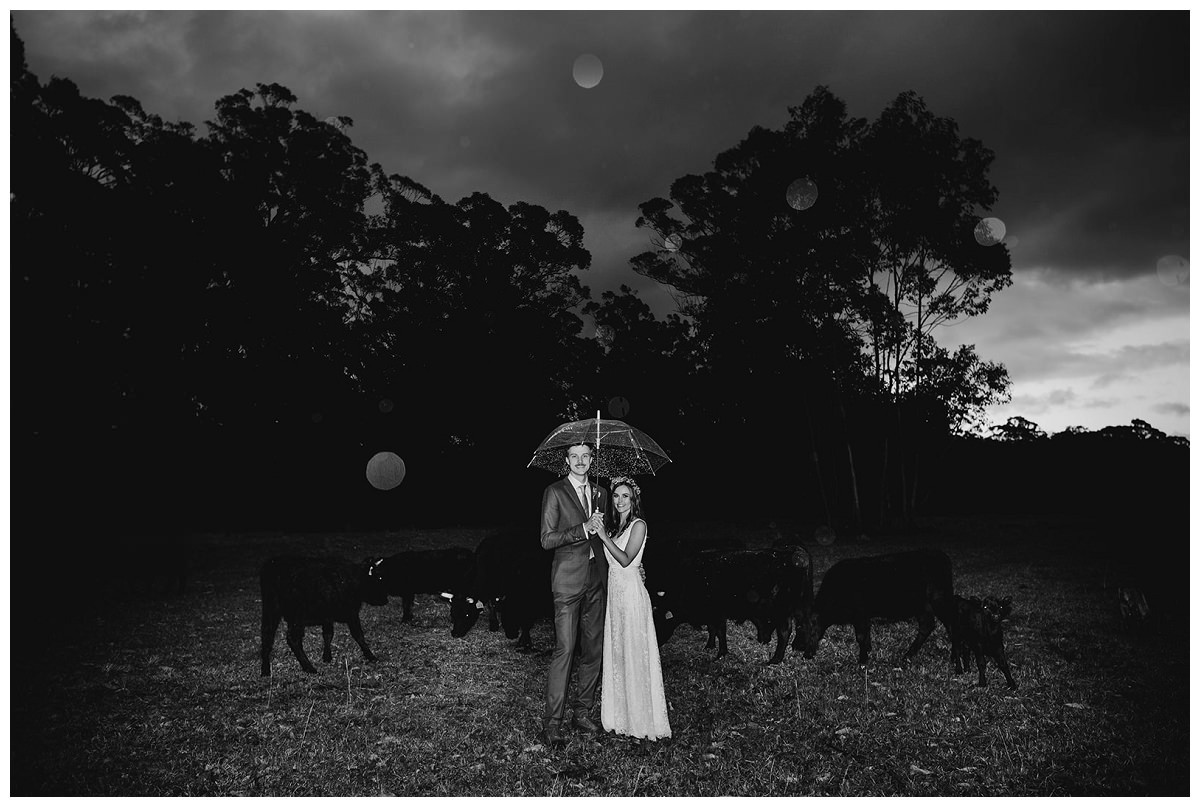 Sydney Boolambayte Farm Wedding Photographer_0222.jpg