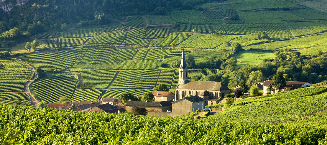 La Vallée de la Loire - image: winery88.com