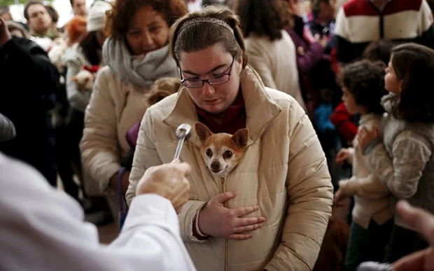 Photo: REUTERS