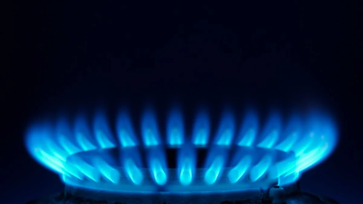 Untitled-1_0010_naturalgas.jpg